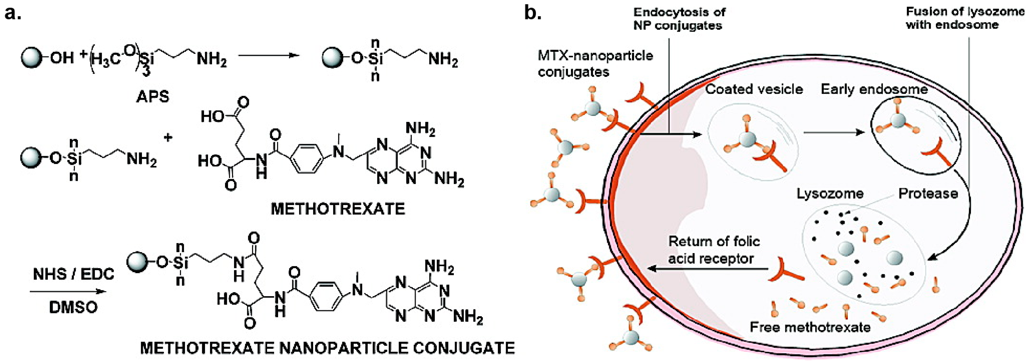 Nanomaterials 11 01001 g006 Nanomaterials 11 01001 g006