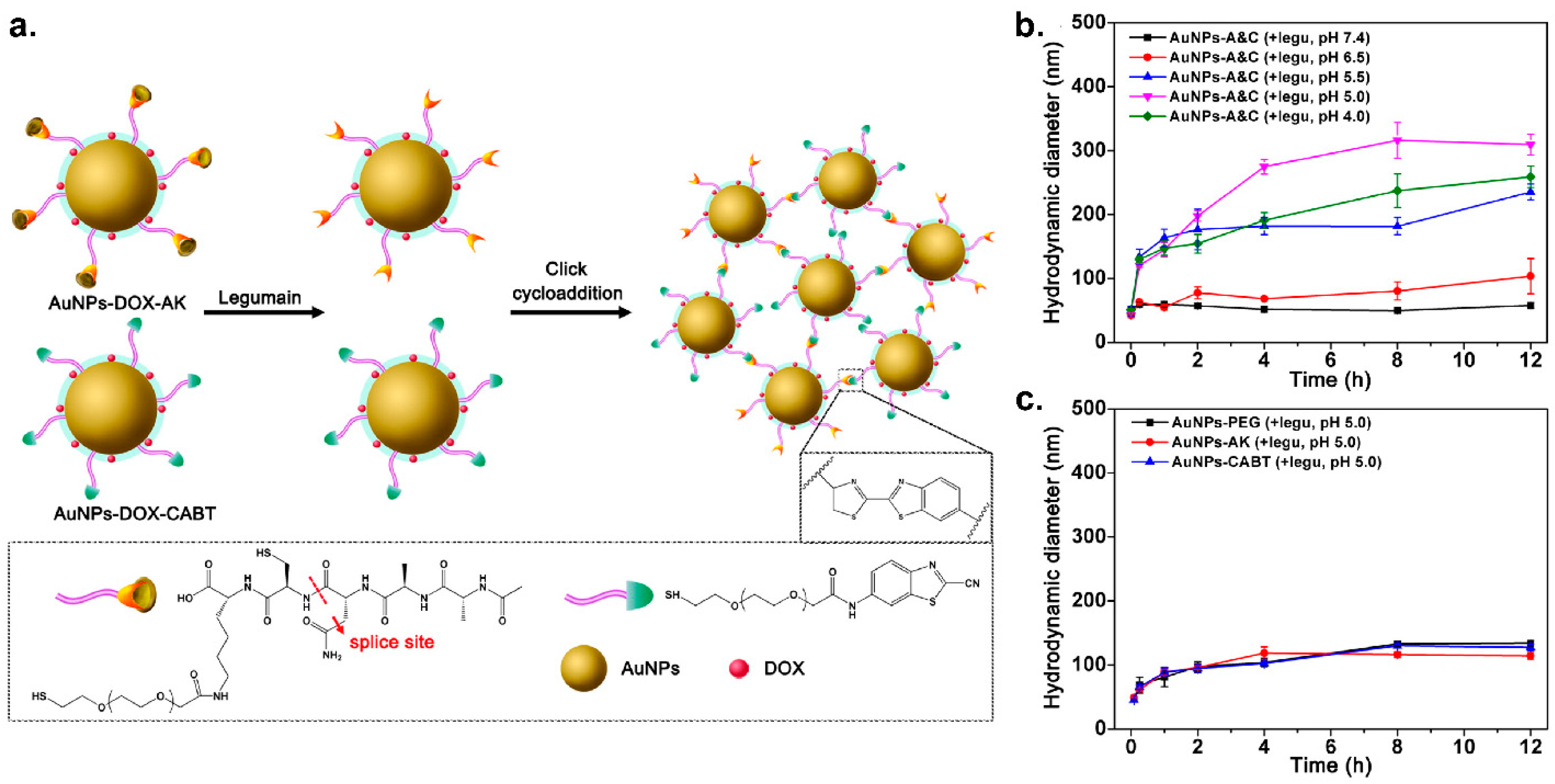 Nanomaterials 11 01001 g007 Nanomaterials 11 01001 g007