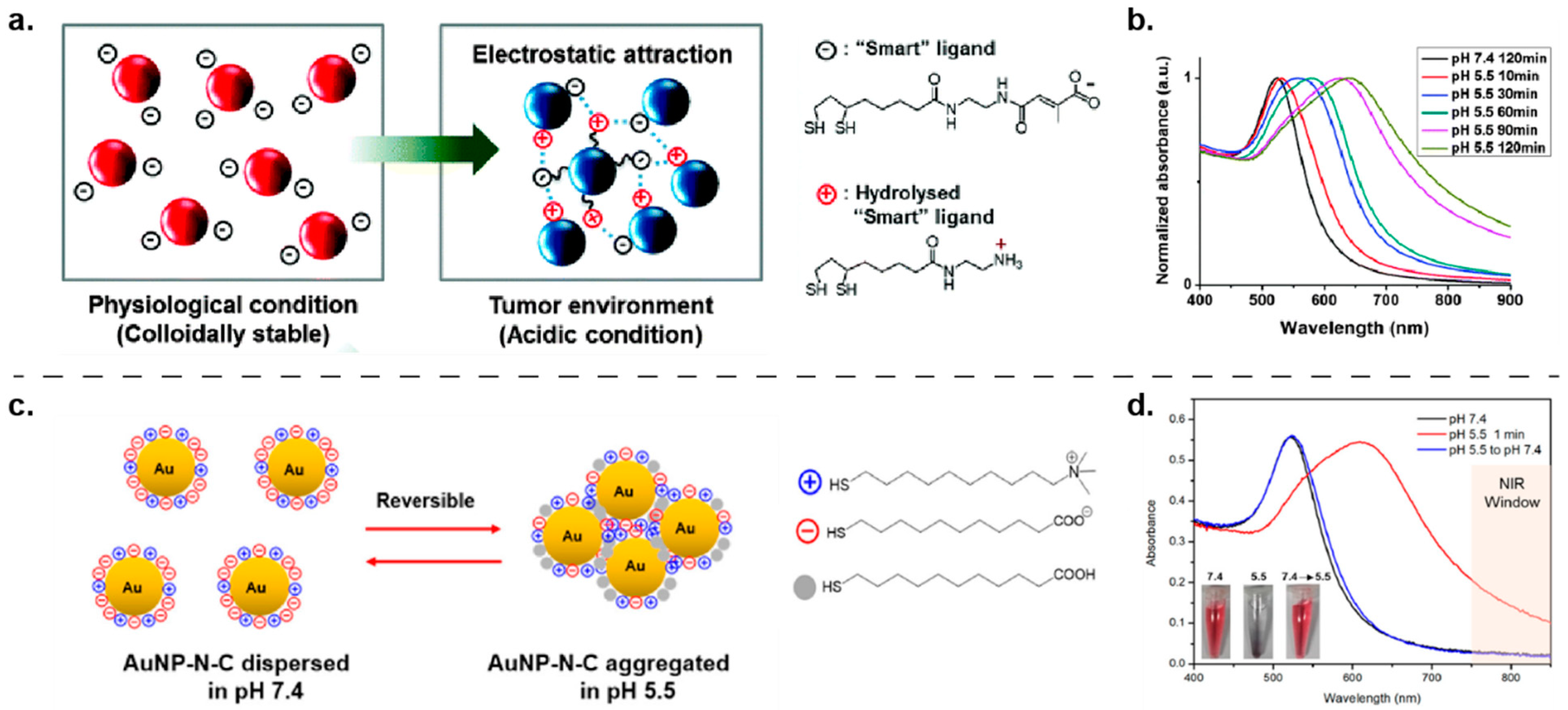 Nanomaterials 11 01001 g008 Nanomaterials 11 01001 g008