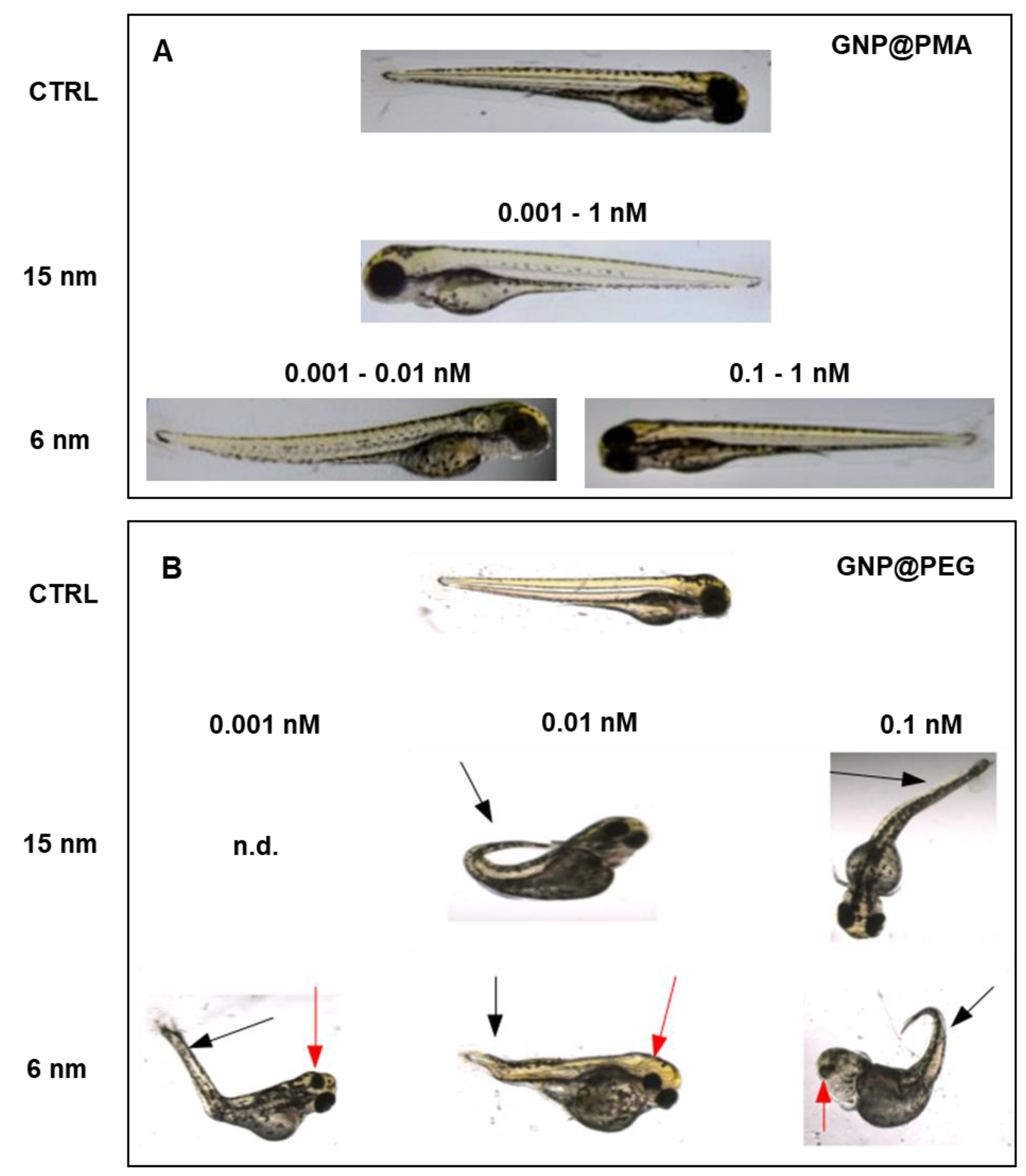 Nanomaterials 11 01004 g005 Nanomaterials 11 01004 g005