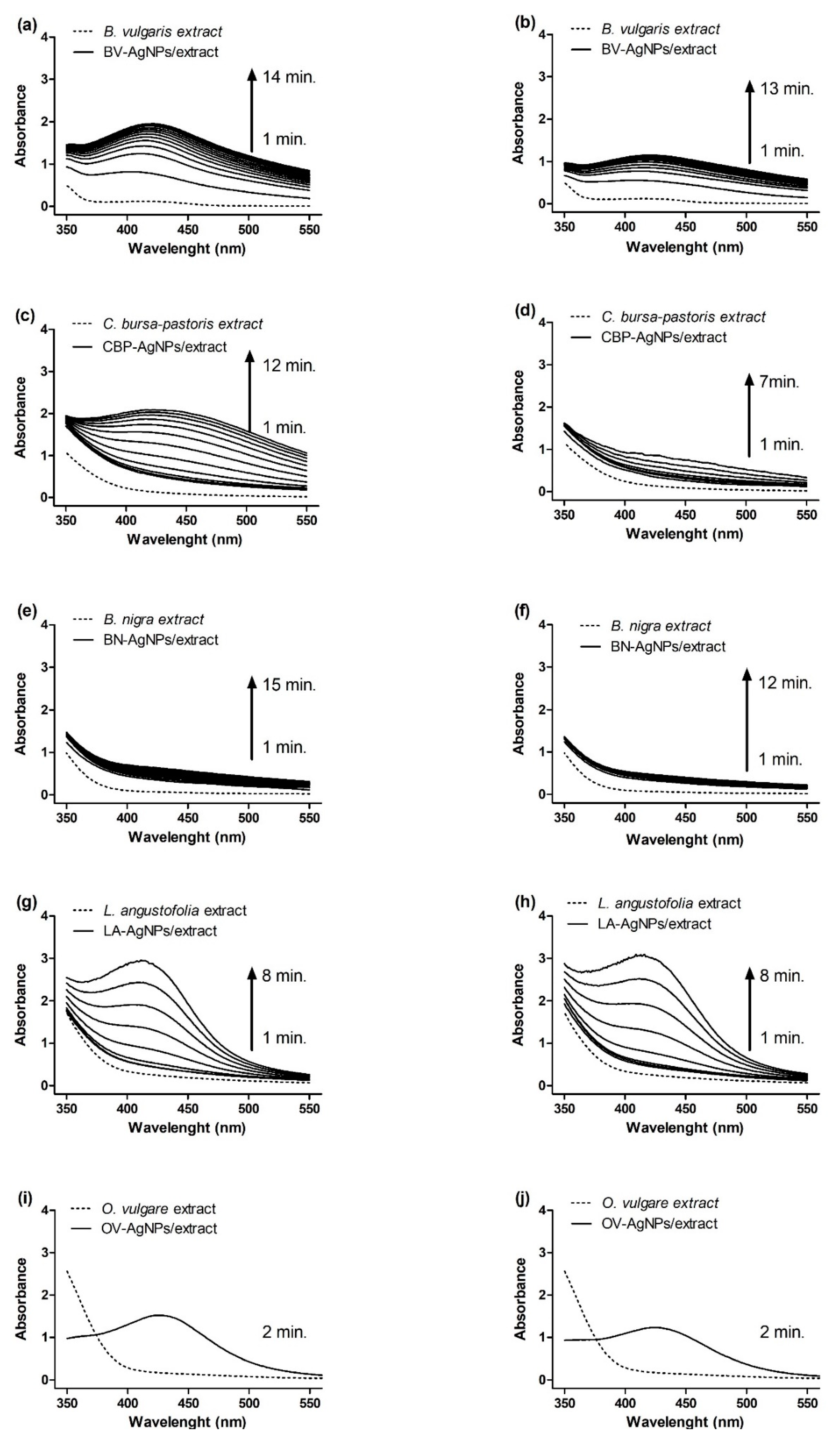 Nanomaterials 11 01005 g001
