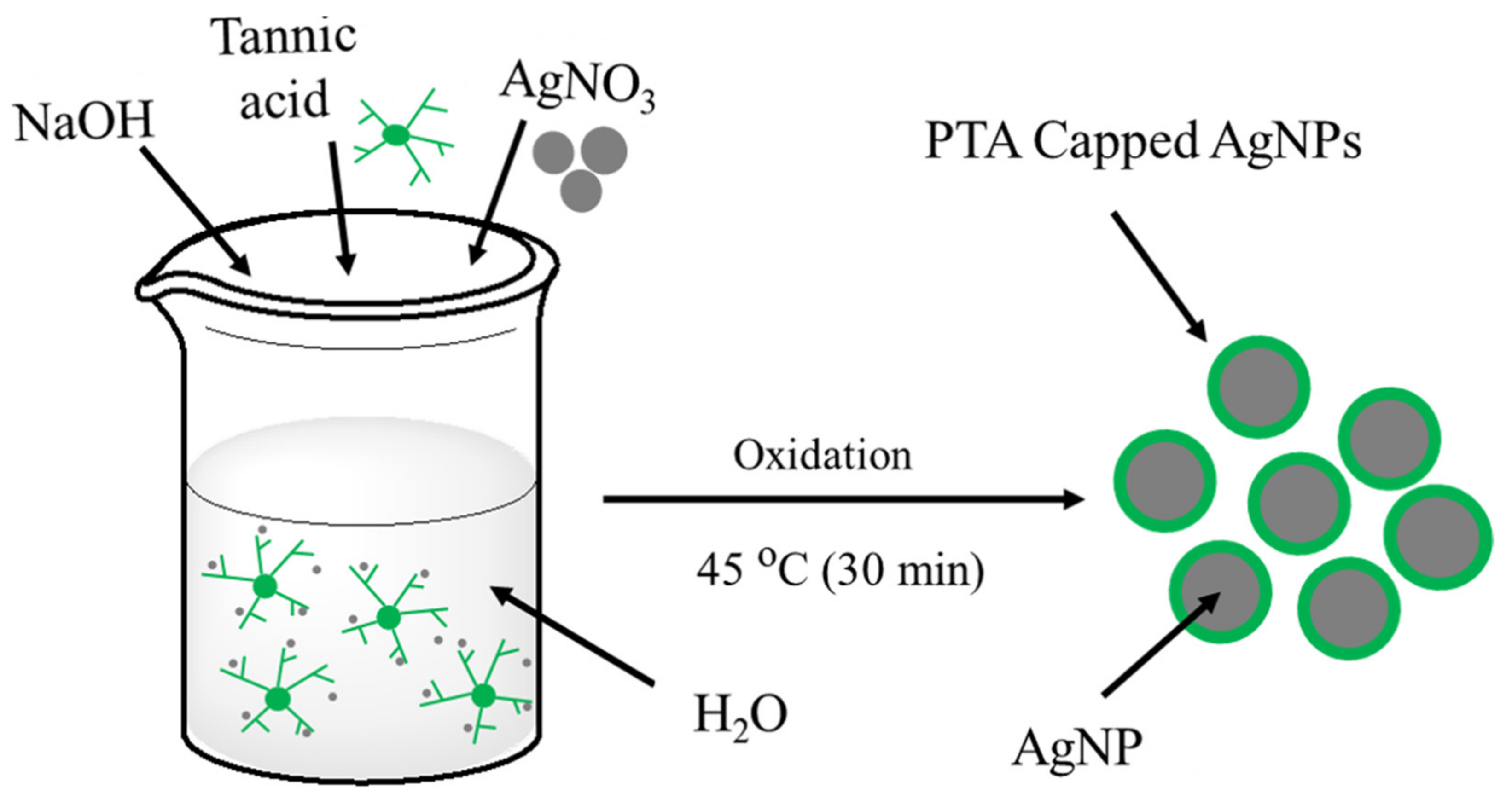 Nanomaterials 11 01007 g001 Nanomaterials 11 01007 g001