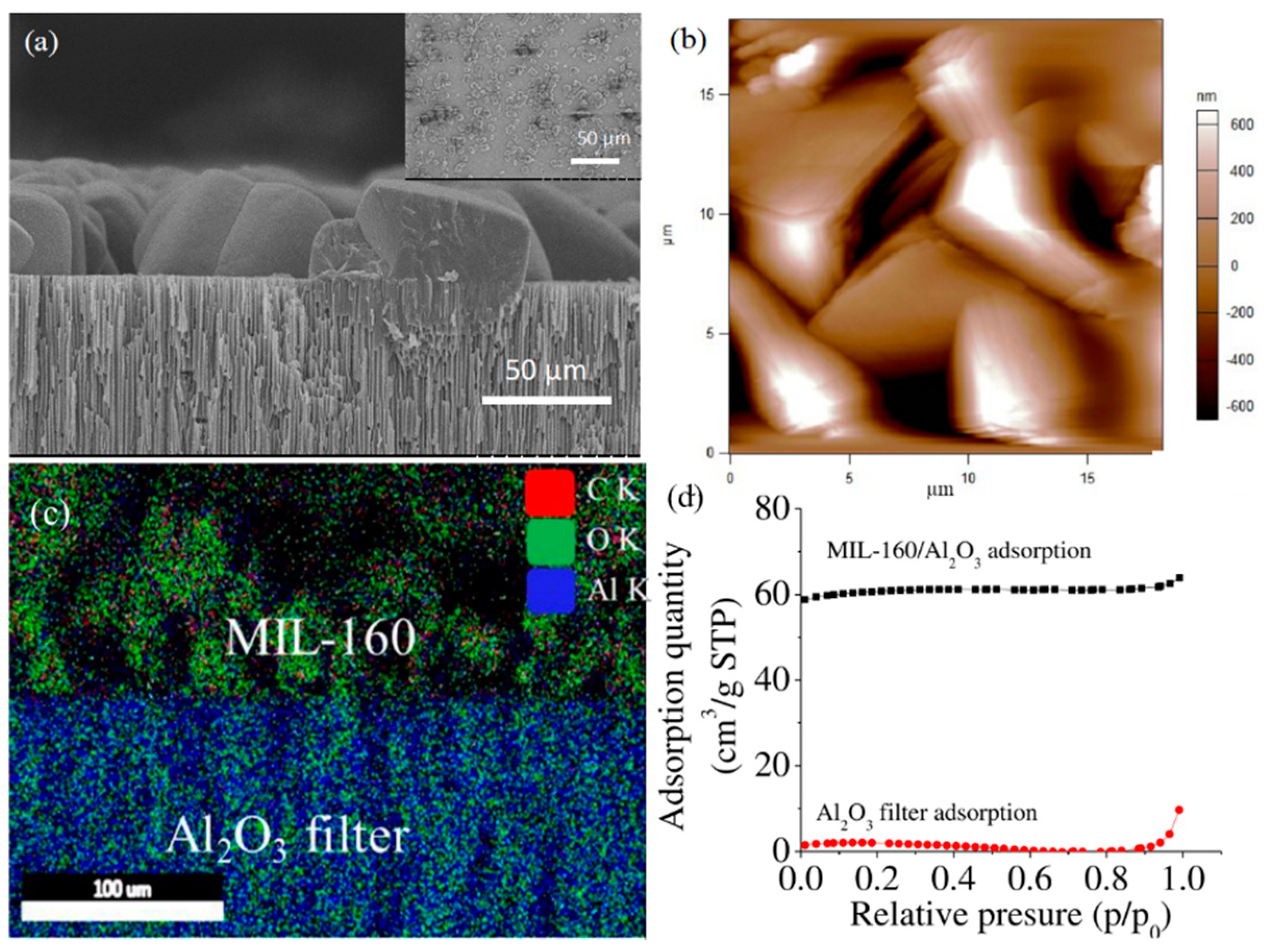Nanomaterials 11 01008 g002