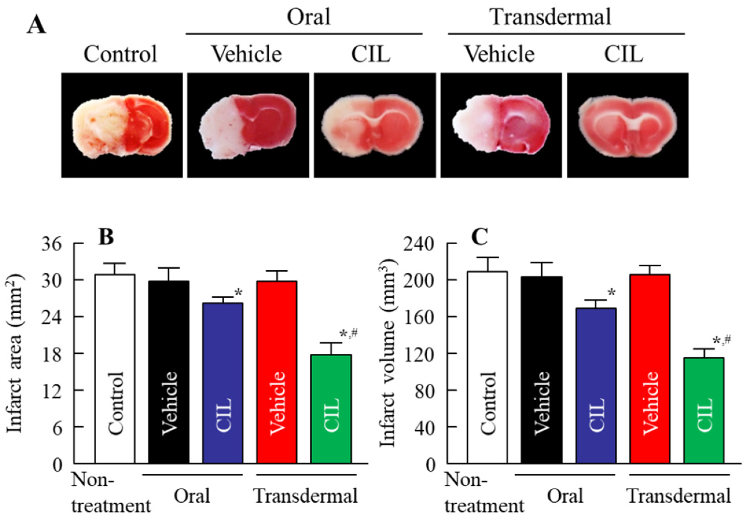 Nanomaterials 11 01009 g007