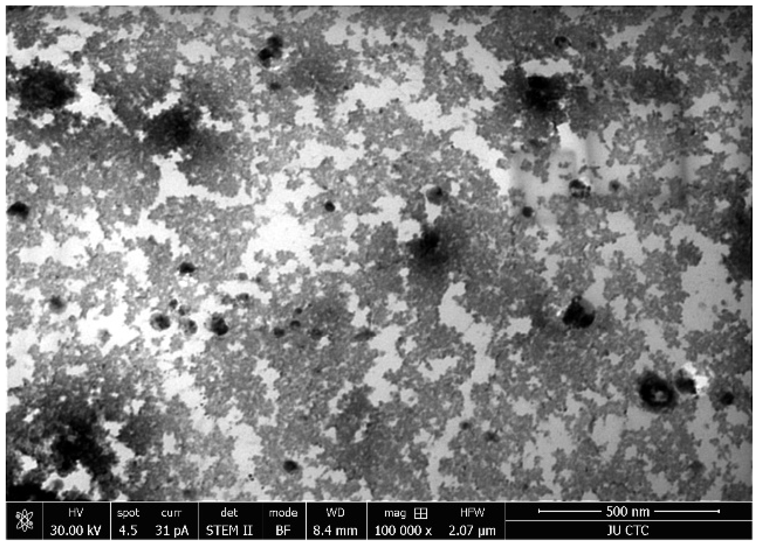 Nanomaterials 11 01010 g003 Nanomaterials 11 01010 g003