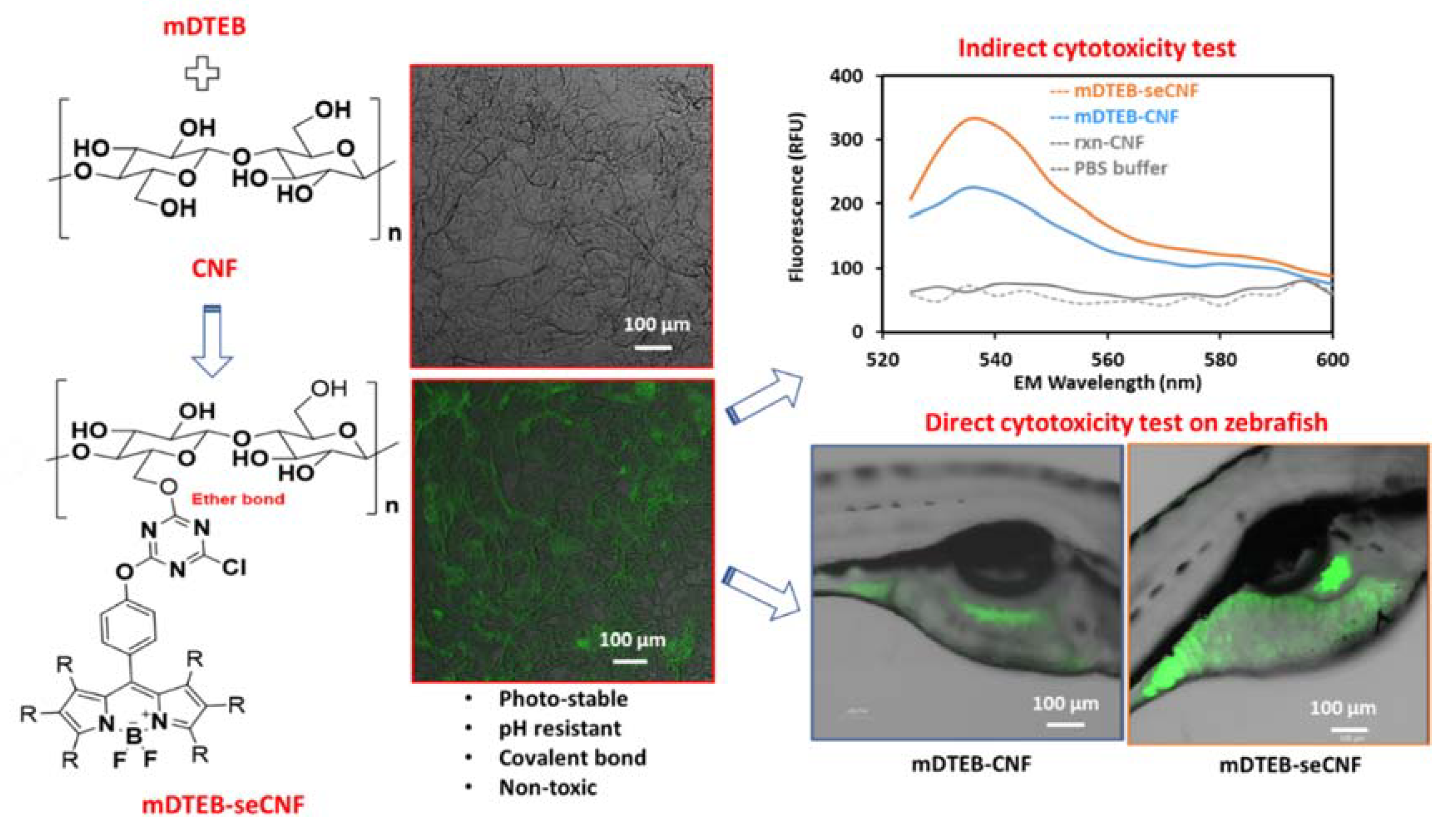 Nanomaterials 11 01015 g001 Nanomaterials 11 01015 g001