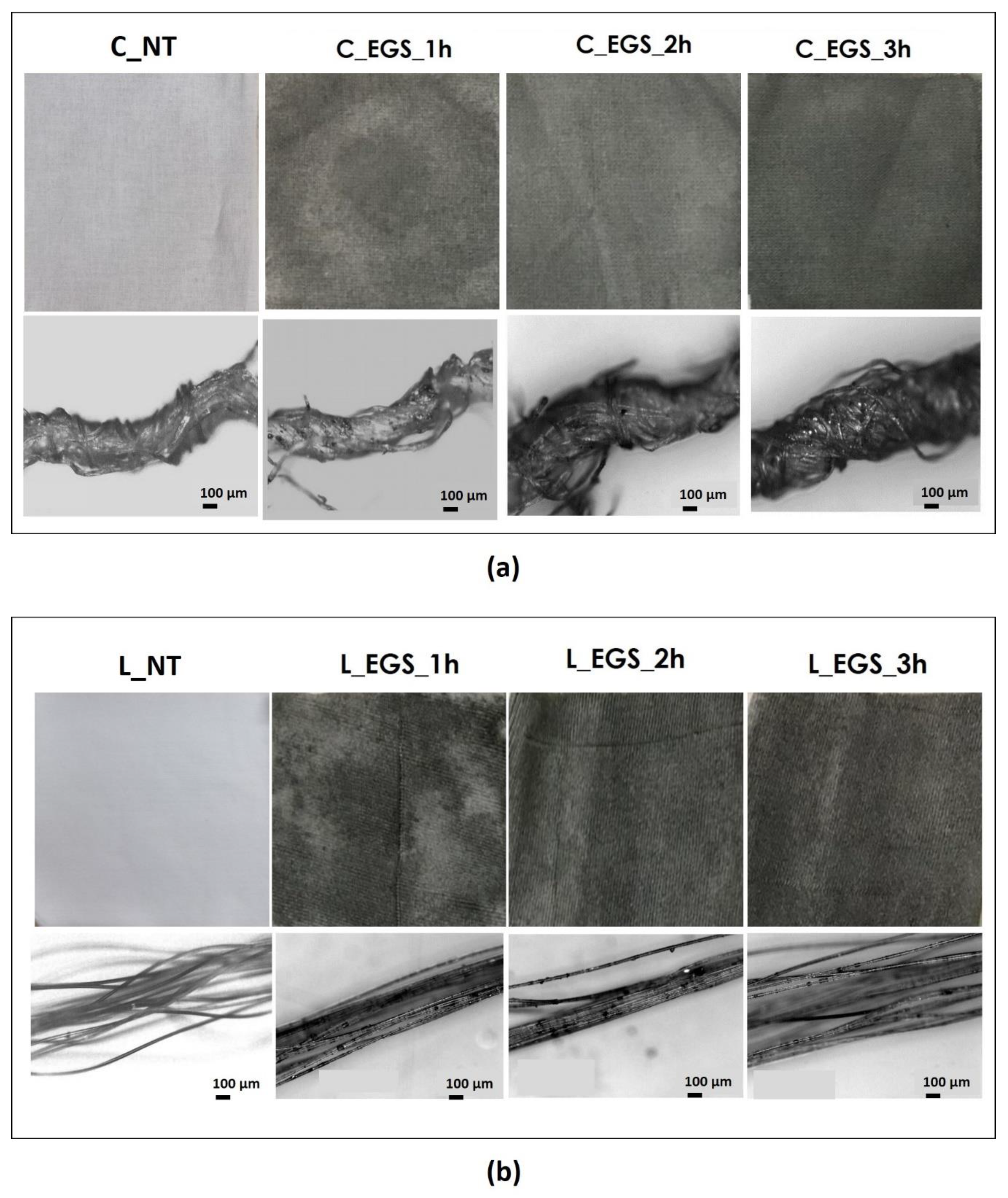 Nanomaterials 11 01018 g002 Nanomaterials 11 01018 g002