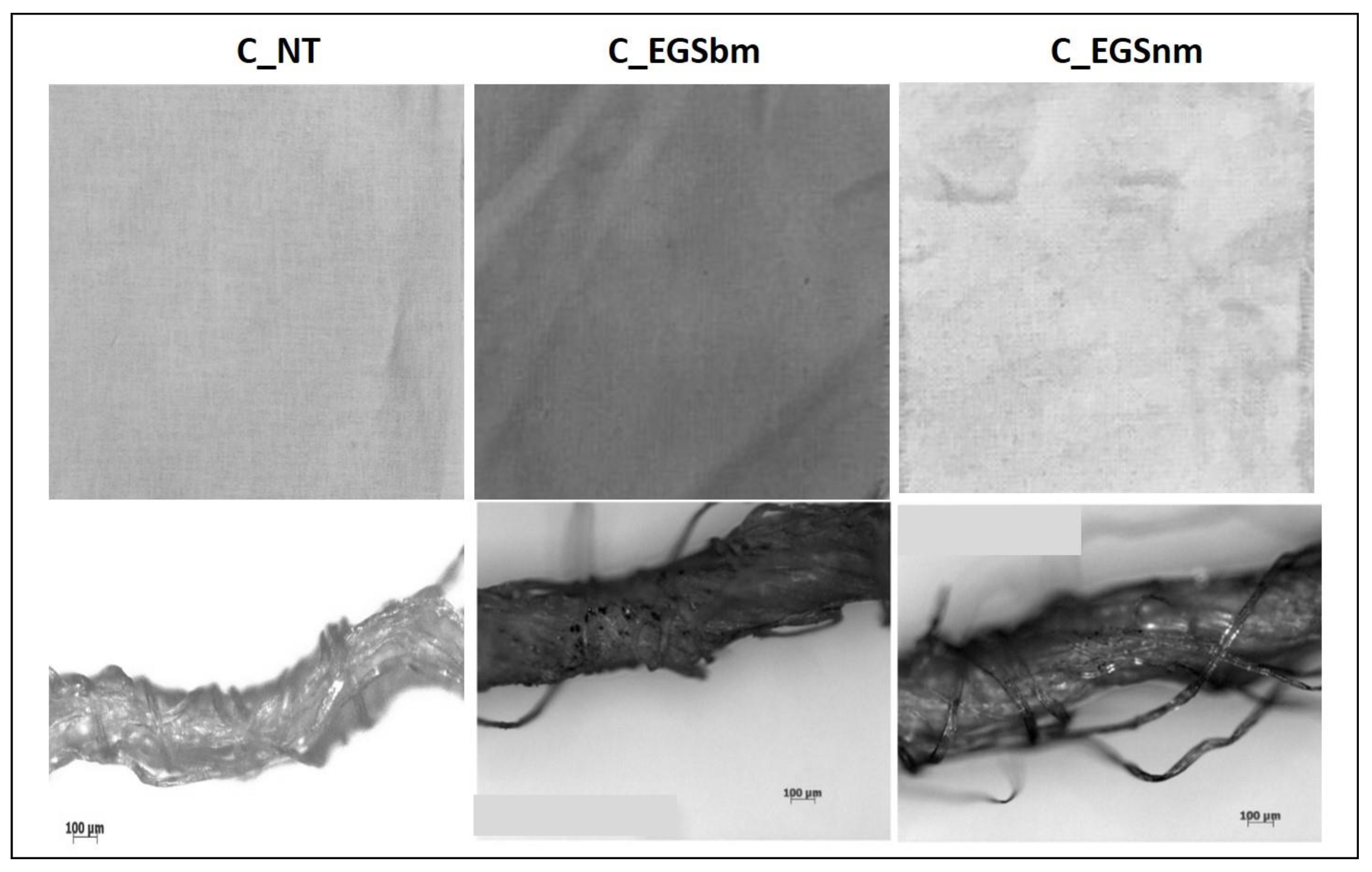 Nanomaterials 11 01018 g003 Nanomaterials 11 01018 g003