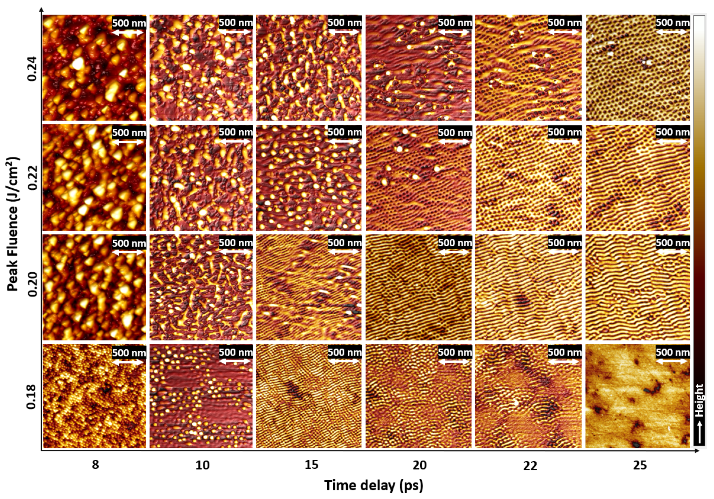 Nanomaterials 11 01020 g001