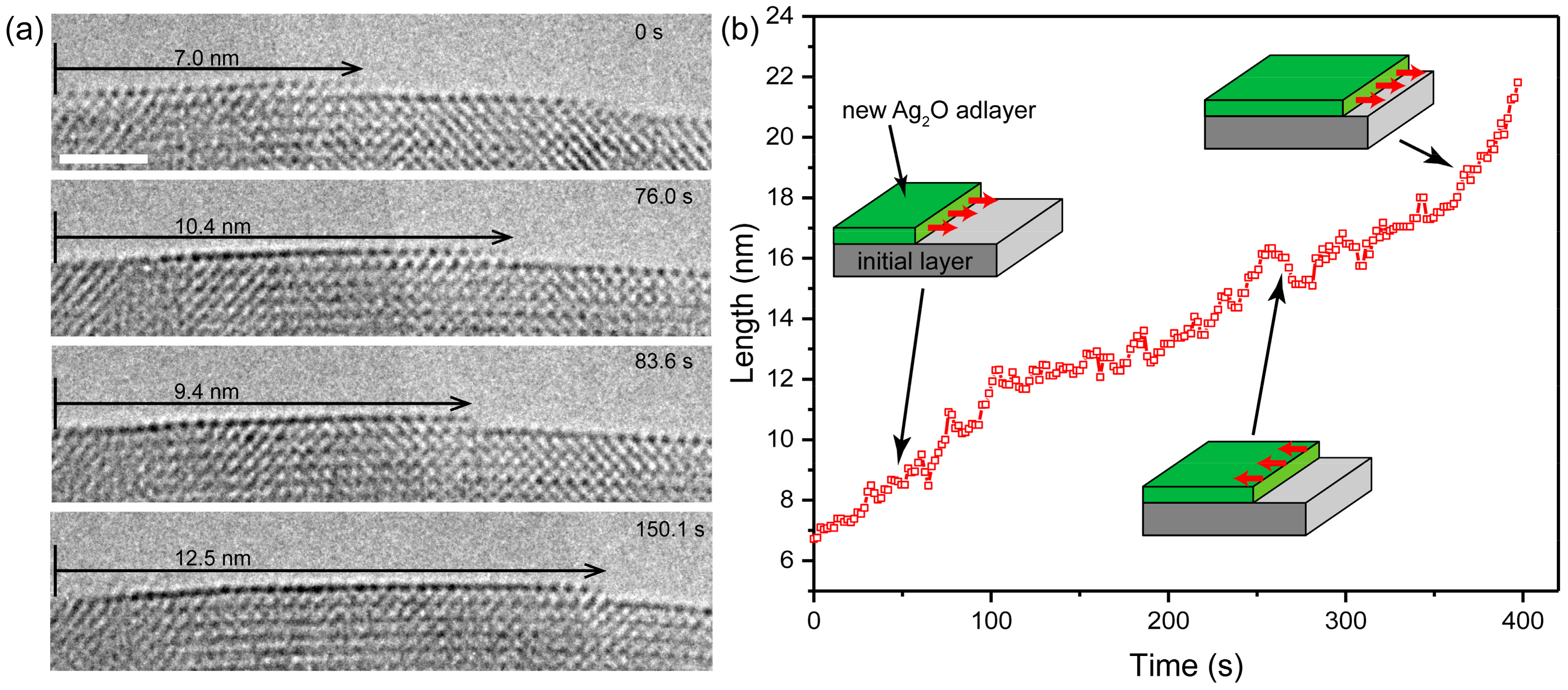 Nanomaterials 11 01021 g004 Nanomaterials 11 01021 g004
