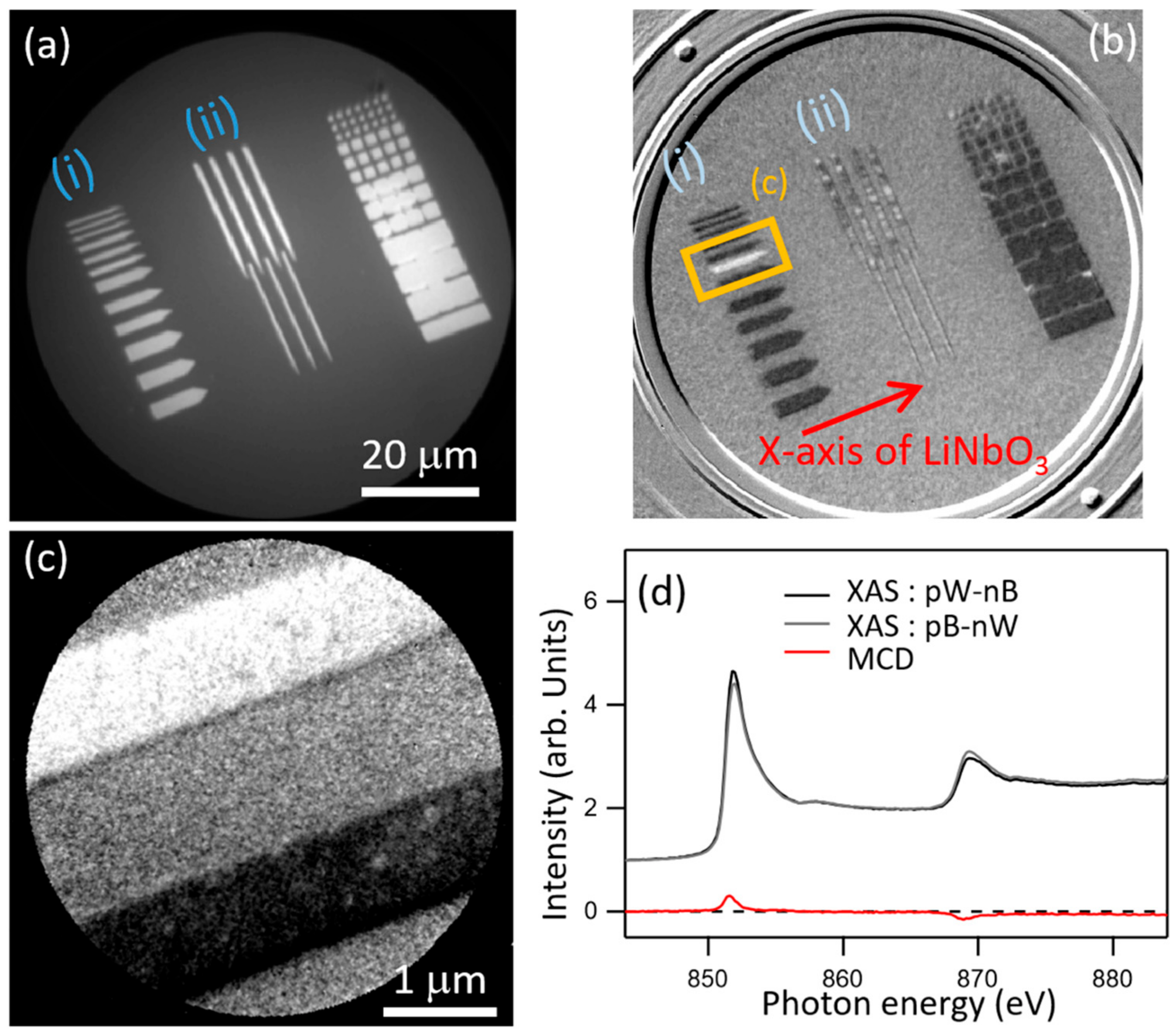 Nanomaterials Free Full Text X Ray Photoemission Spectroscopy Study Of Uniaxial Magnetic Anisotropy Induced In A Ni Layer Deposited On A Linbo3 Substrate Html