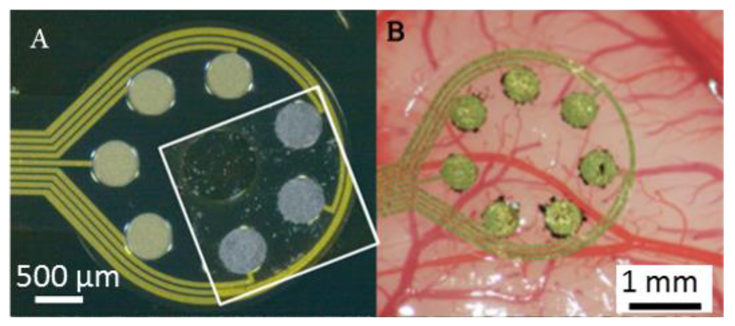 Nanomaterials 11 01029 g001 Nanomaterials 11 01029 g001