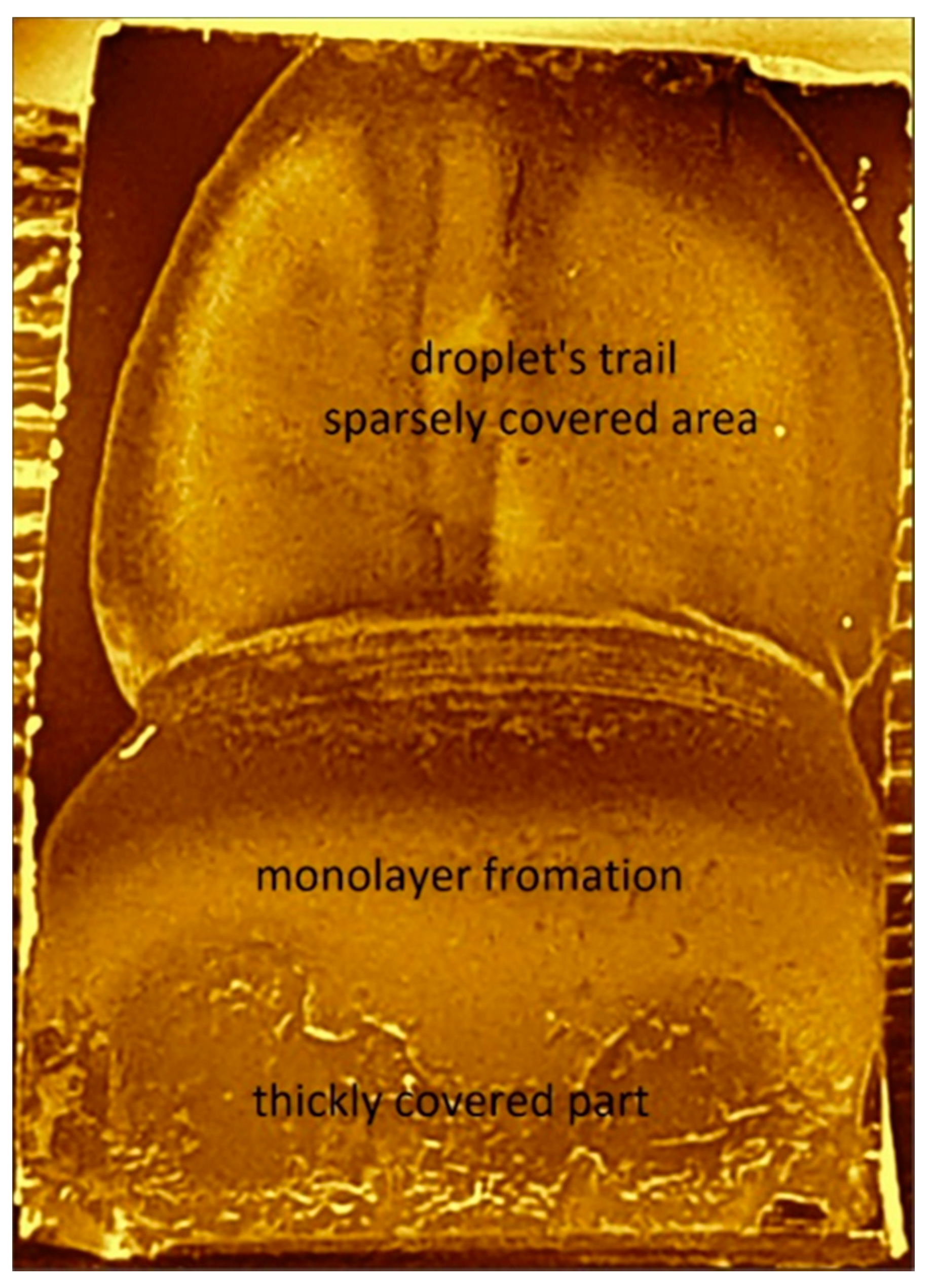 Nanomaterials 11 01030 g005 Nanomaterials 11 01030 g005