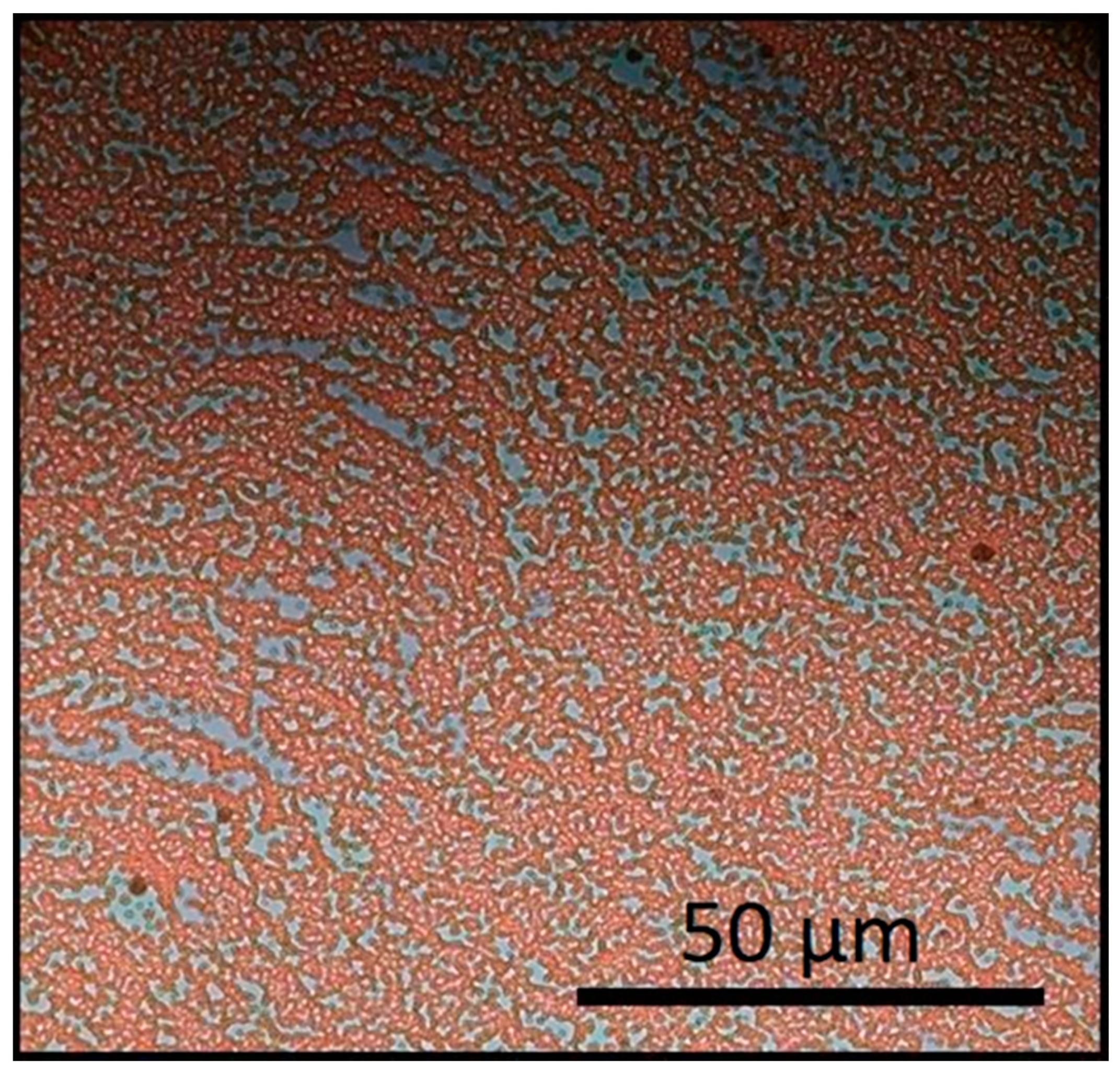 Nanomaterials 11 01030 g006 Nanomaterials 11 01030 g006