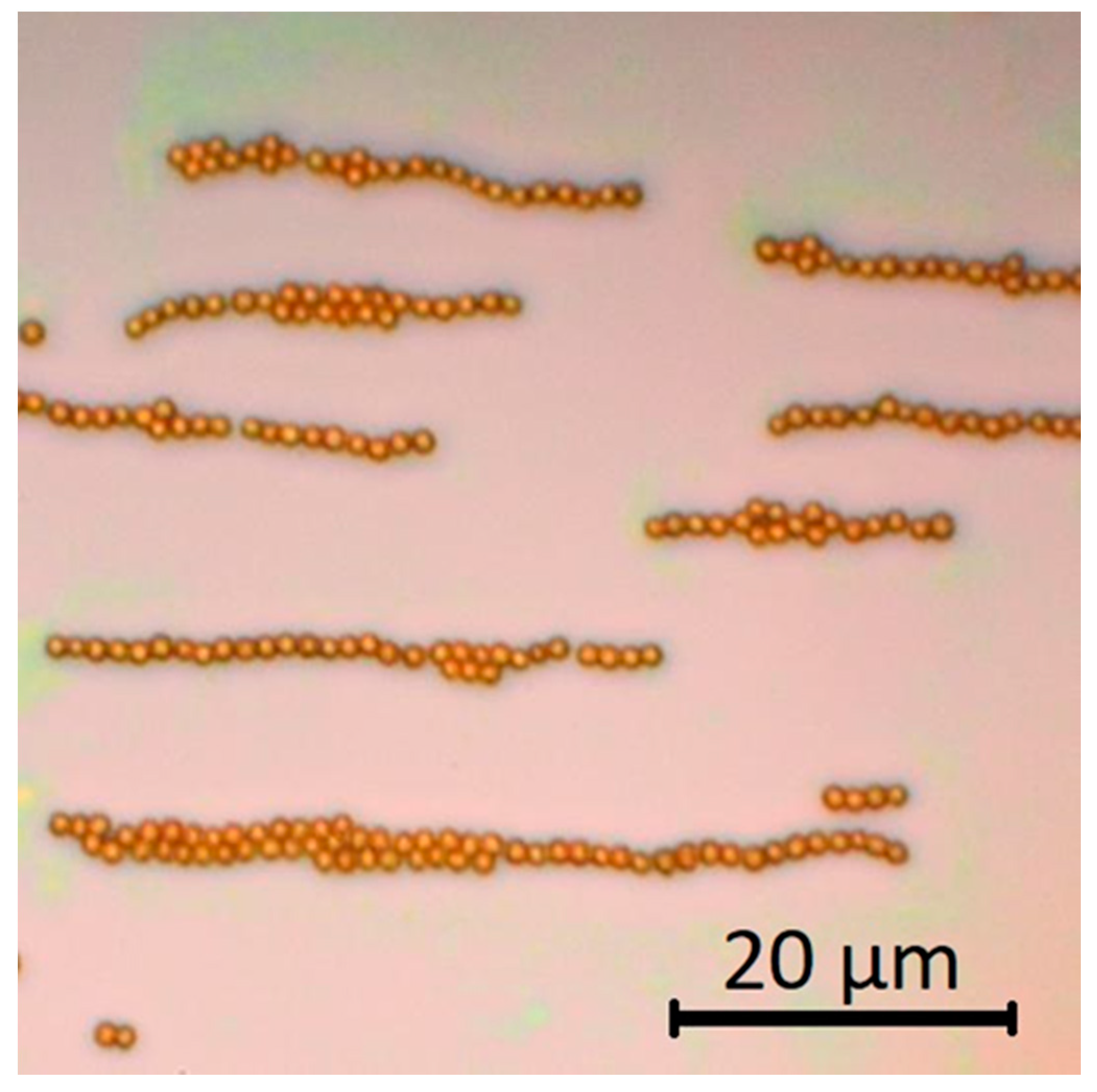Nanomaterials 11 01030 g007 Nanomaterials 11 01030 g007