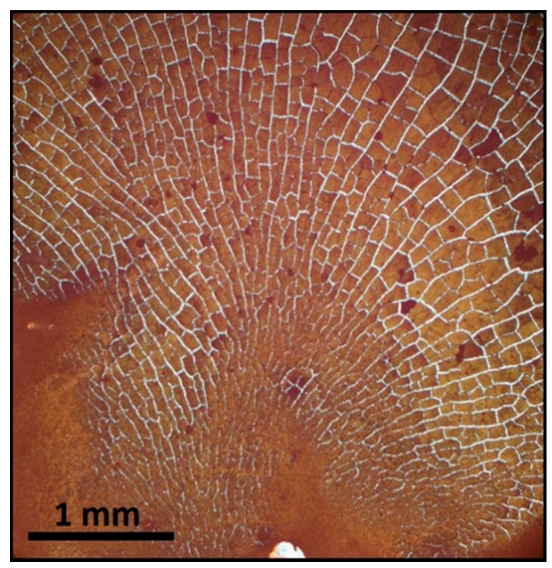 Nanomaterials 11 01030 g009 Nanomaterials 11 01030 g009