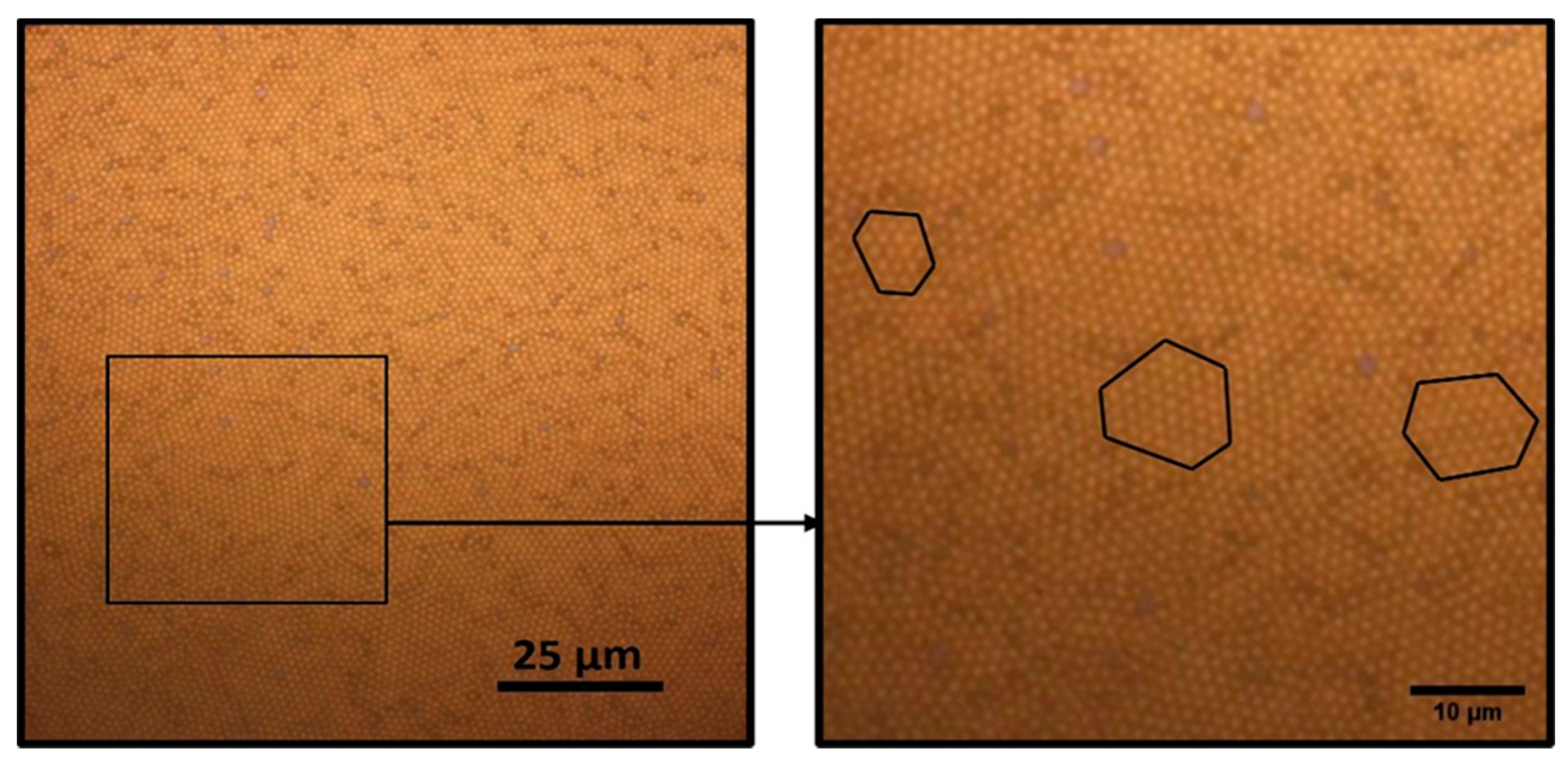 Nanomaterials 11 01030 g011 Nanomaterials 11 01030 g011