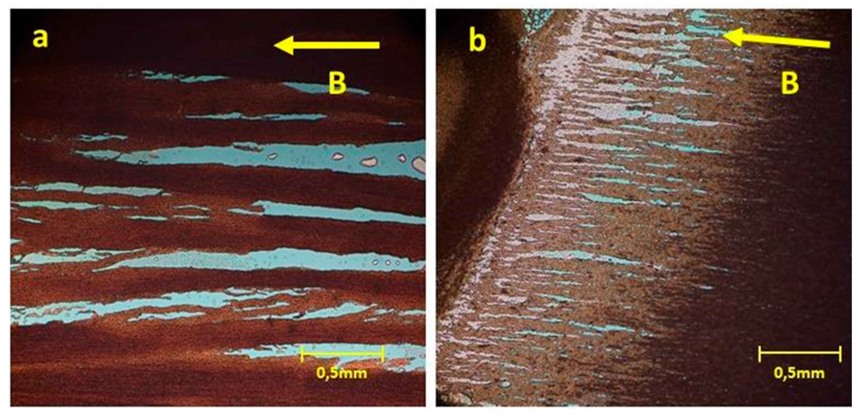 Nanomaterials 11 01030 g012 Nanomaterials 11 01030 g012