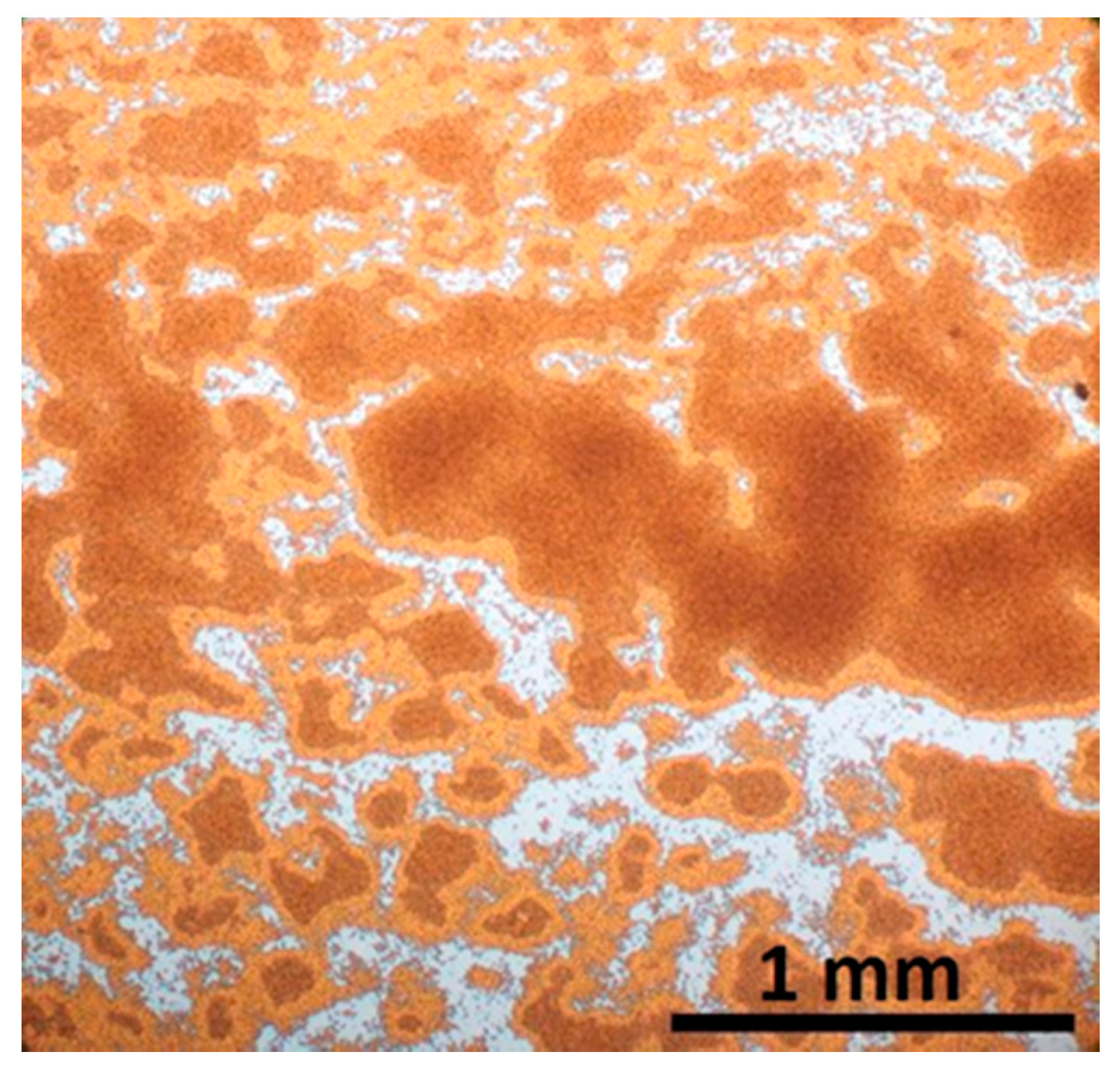 Nanomaterials 11 01030 g013 Nanomaterials 11 01030 g013