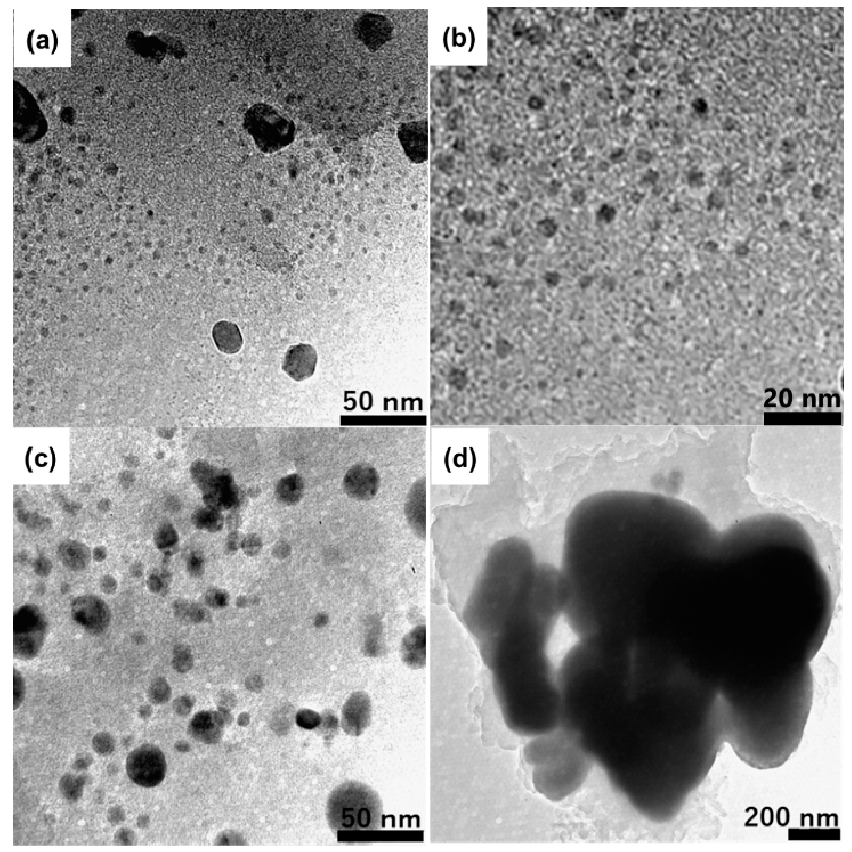 Nanomaterials 11 01040 g003 Nanomaterials 11 01040 g003