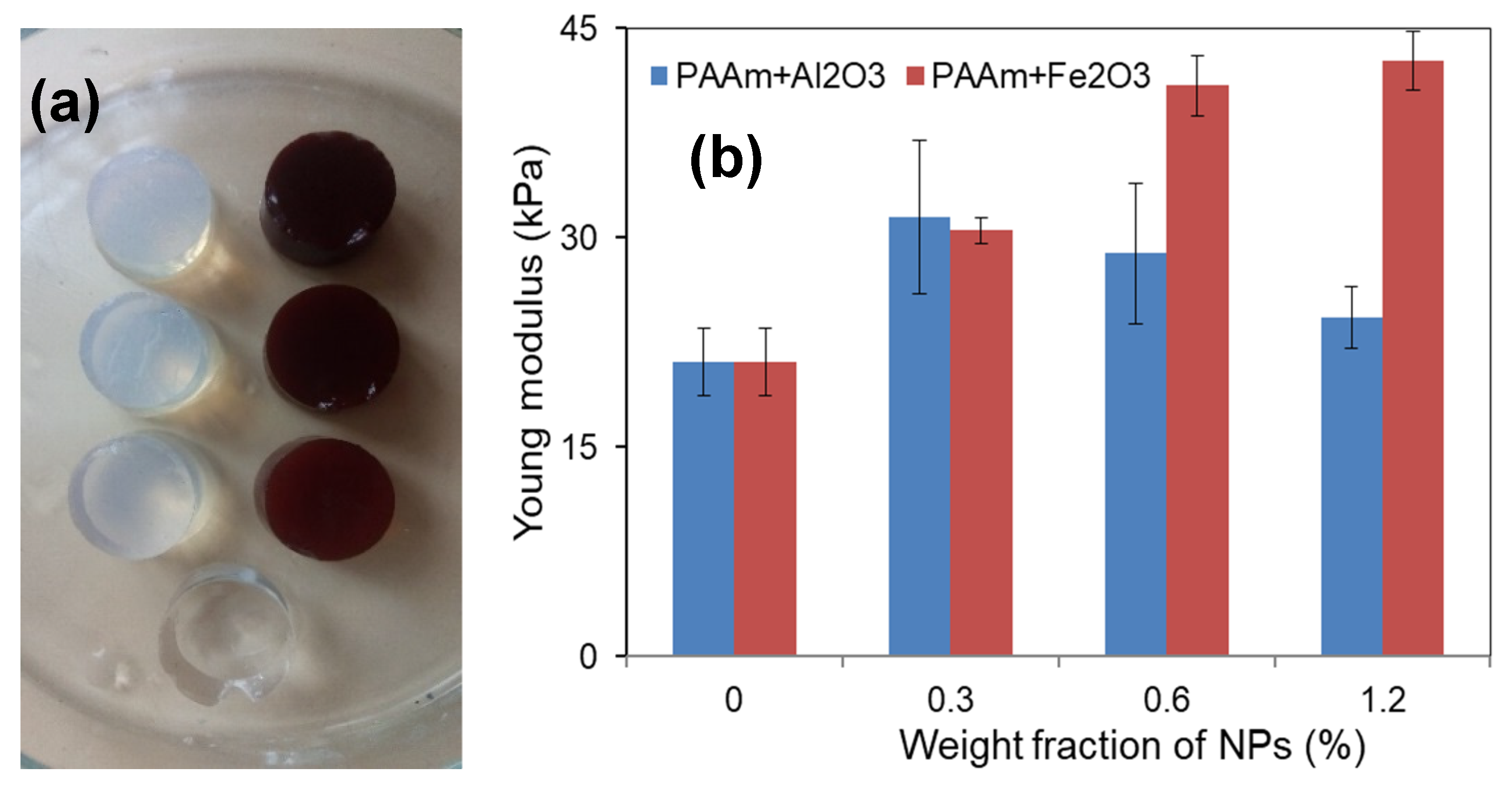 Nanomaterials 11 01041 g005