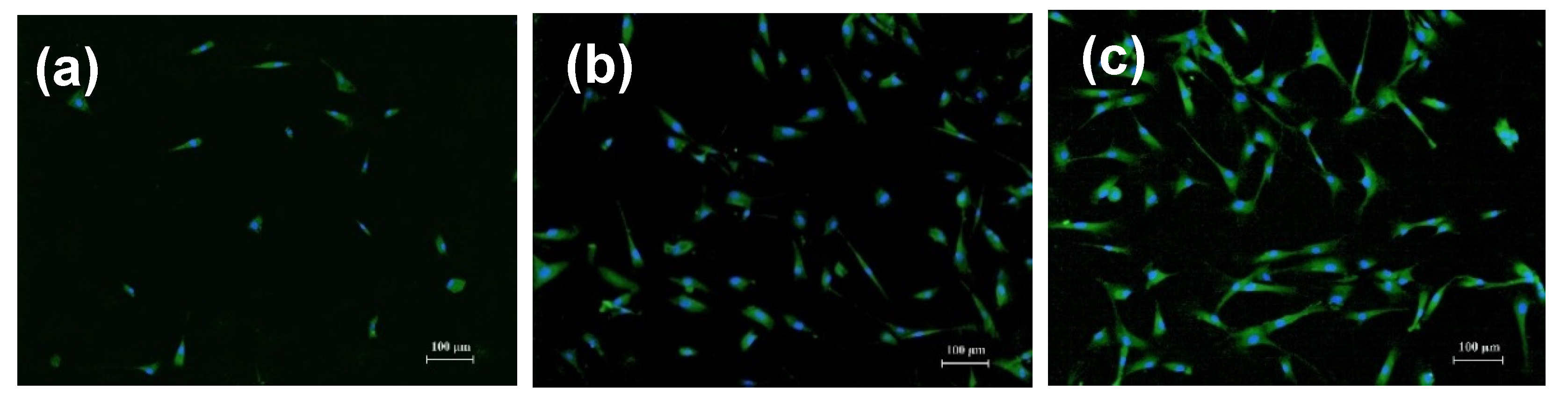 Nanomaterials 11 01041 g007