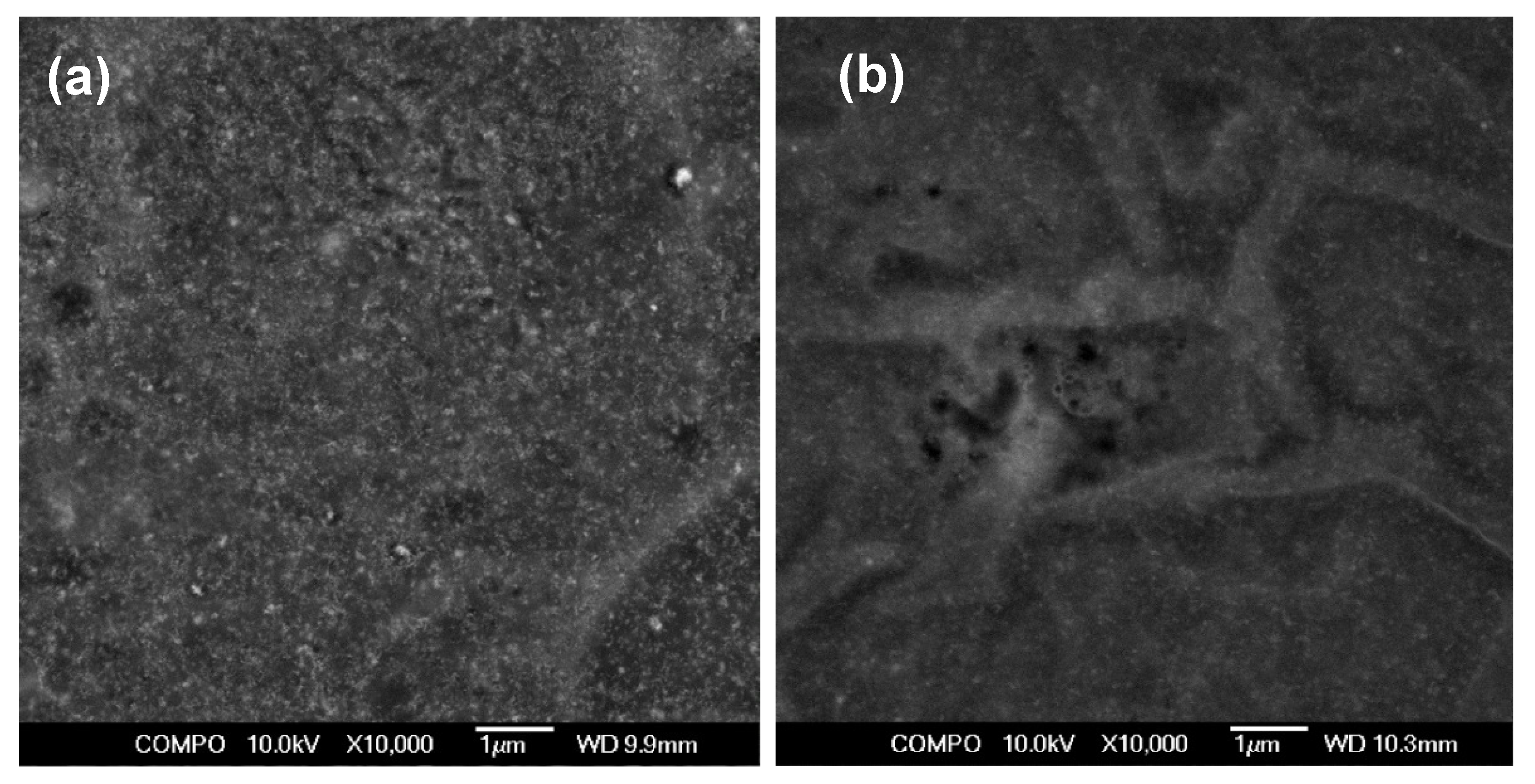 Nanomaterials 11 01041 g008