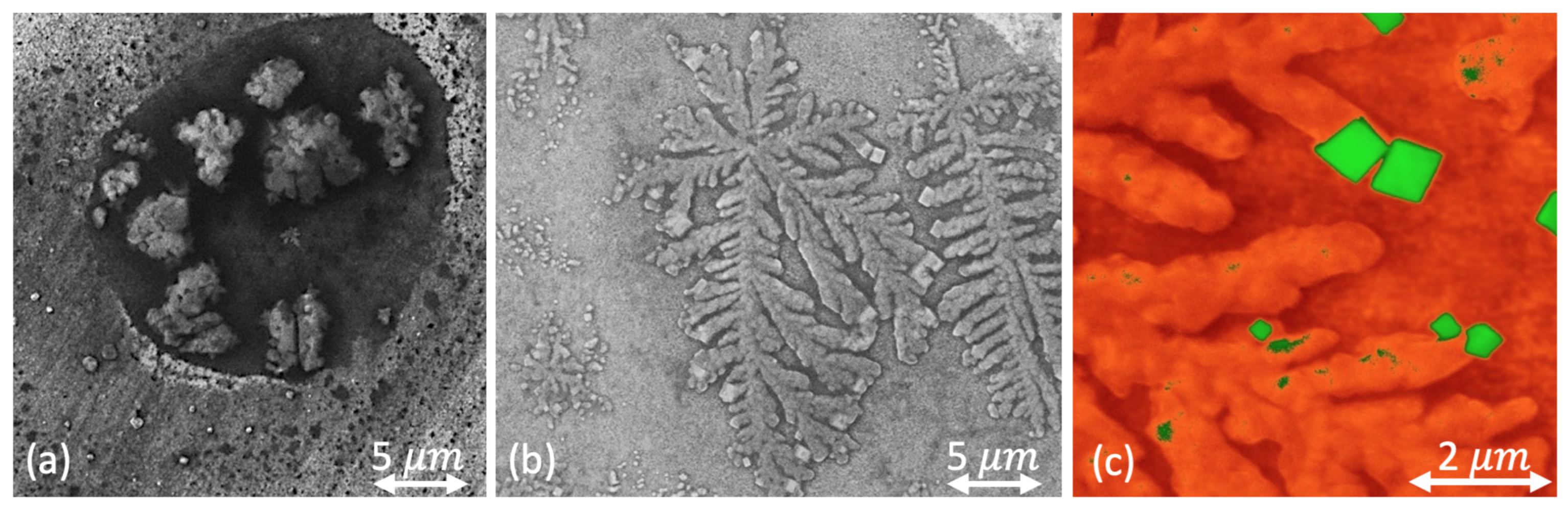 Nanomaterials 11 01043 g001 Nanomaterials 11 01043 g001