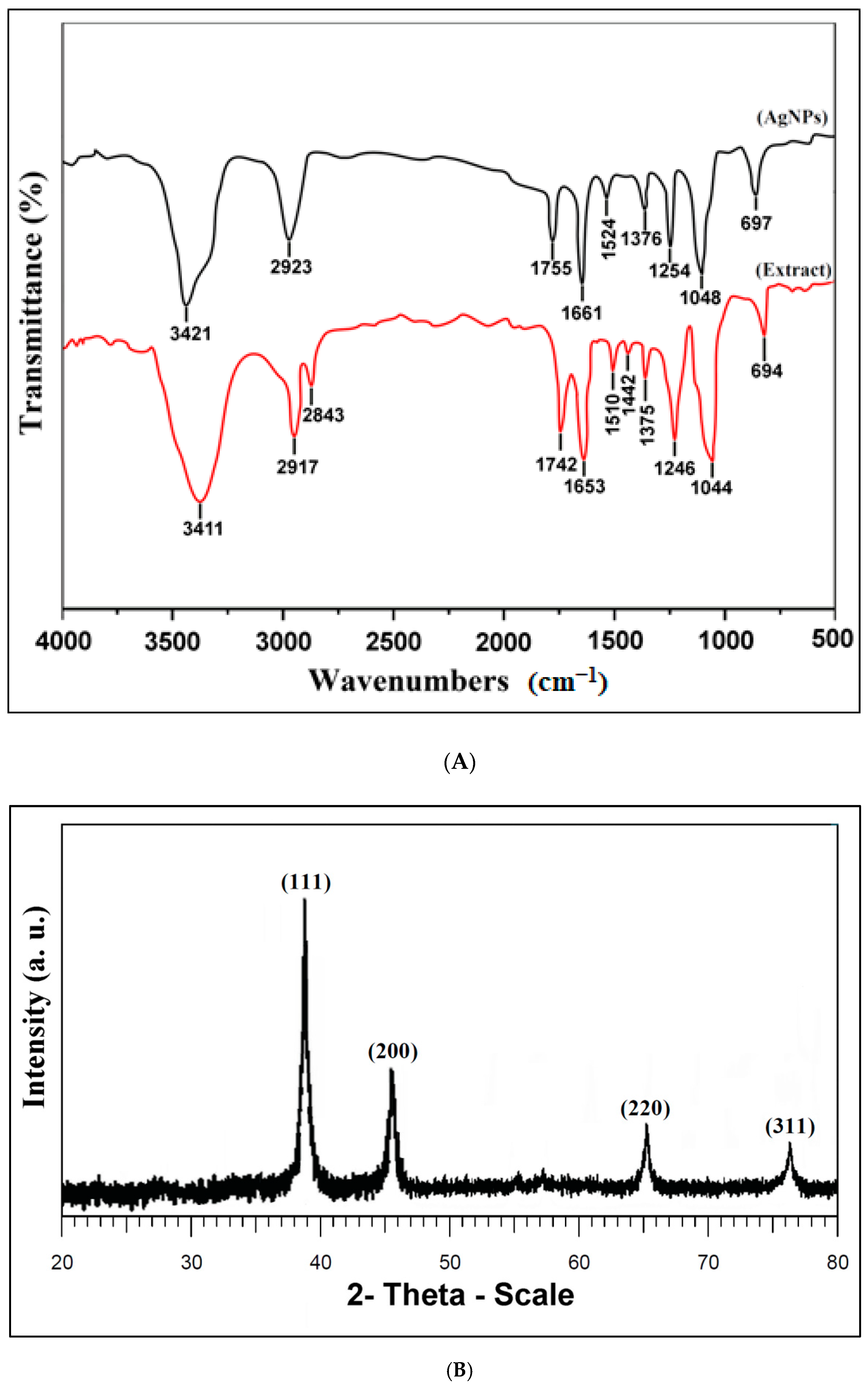 Nanomaterials 11 01045 g002 Nanomaterials 11 01045 g002