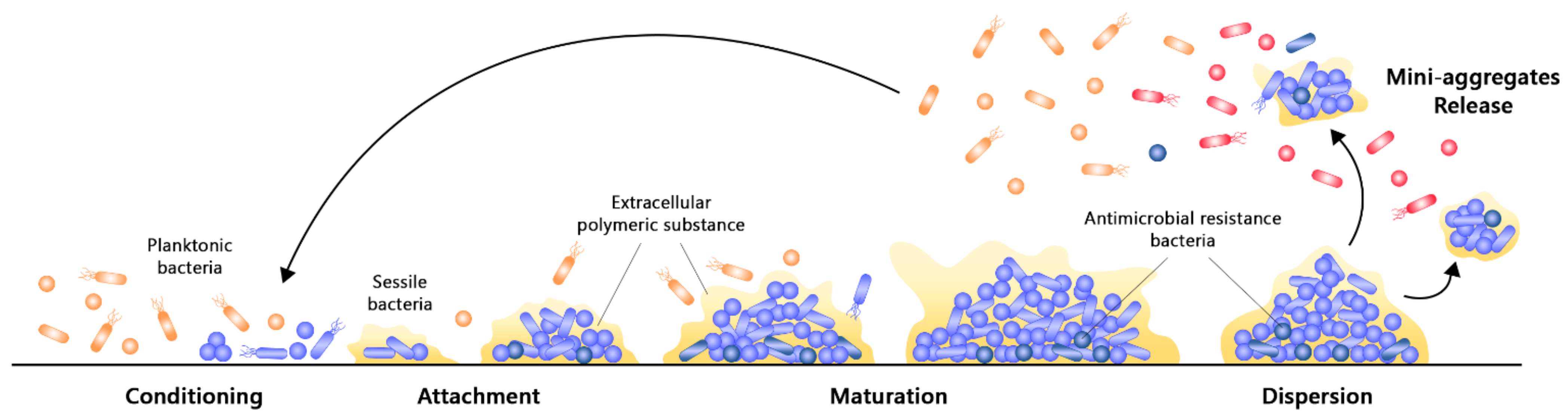 Nanomaterials 11 01046 g002 Nanomaterials 11 01046 g002