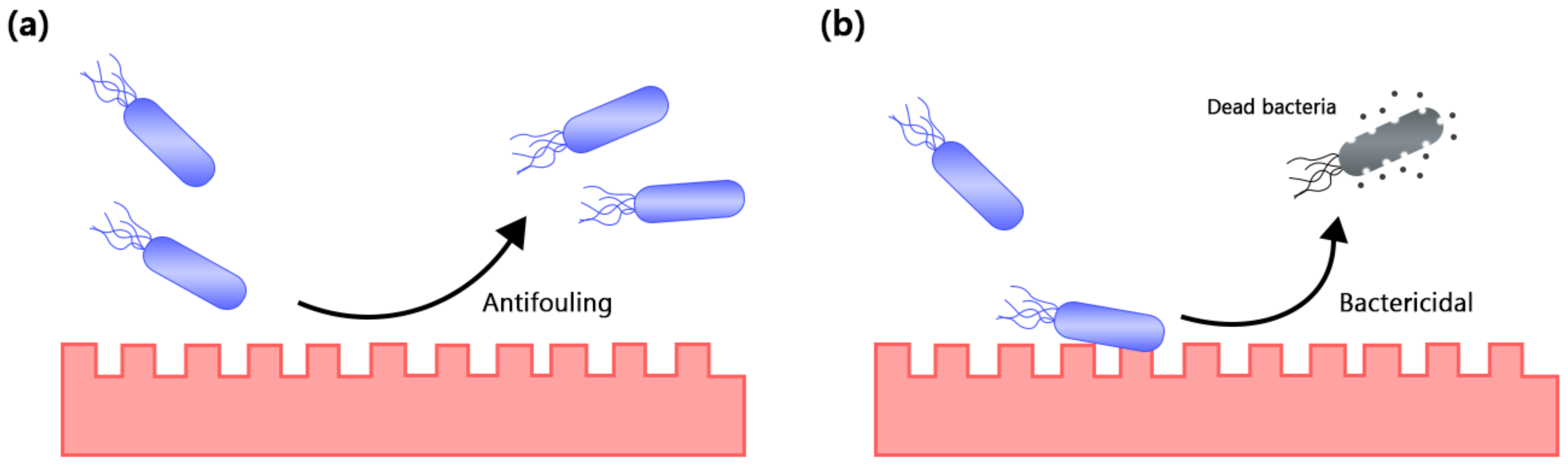Nanomaterials 11 01046 g008 Nanomaterials 11 01046 g008