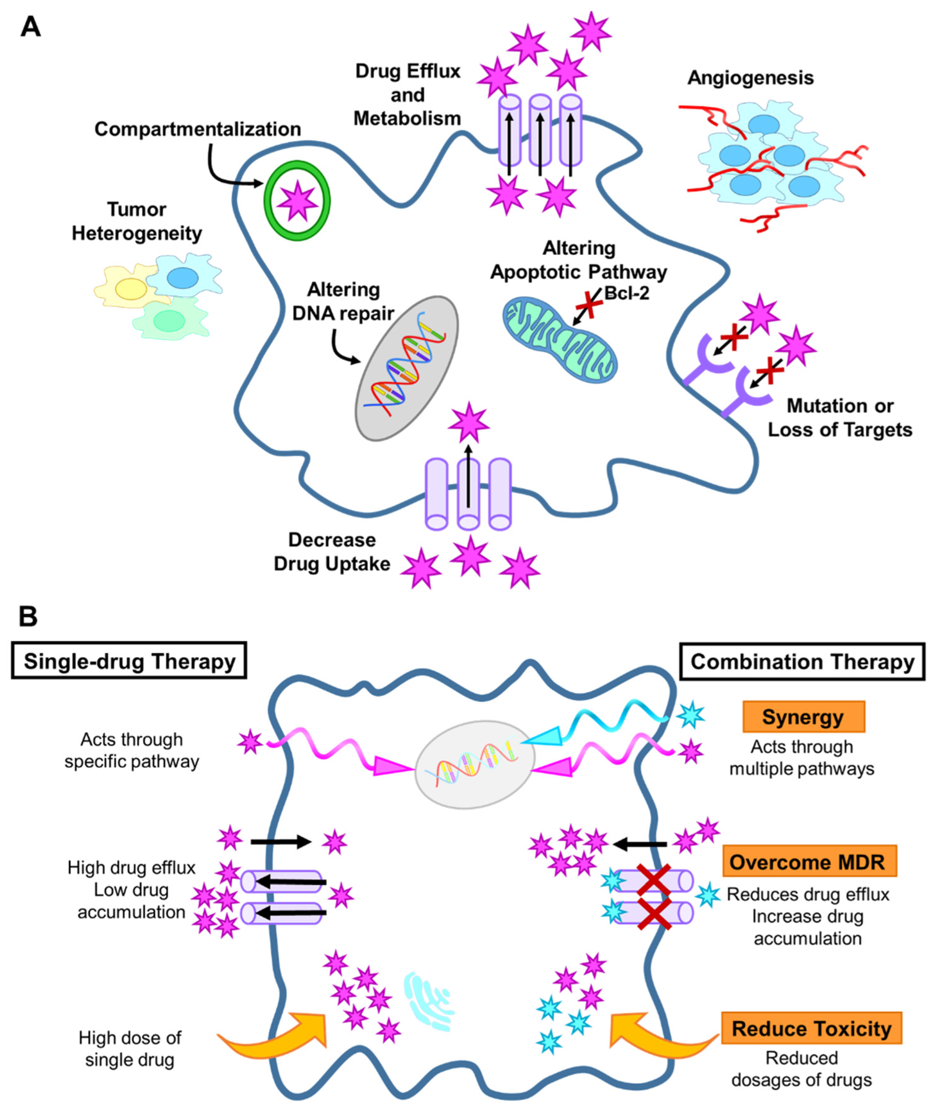 Nanomaterials 11 01048 g001