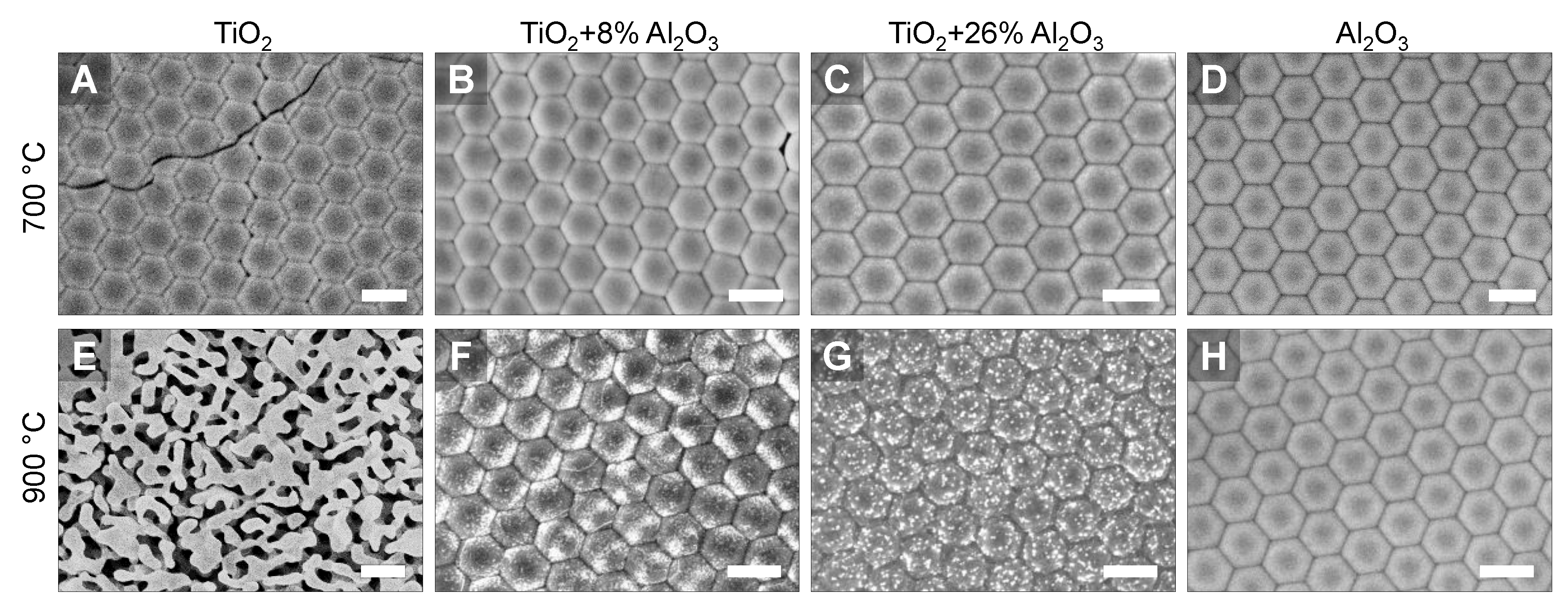Nanomaterials 11 01053 g005 Nanomaterials 11 01053 g005
