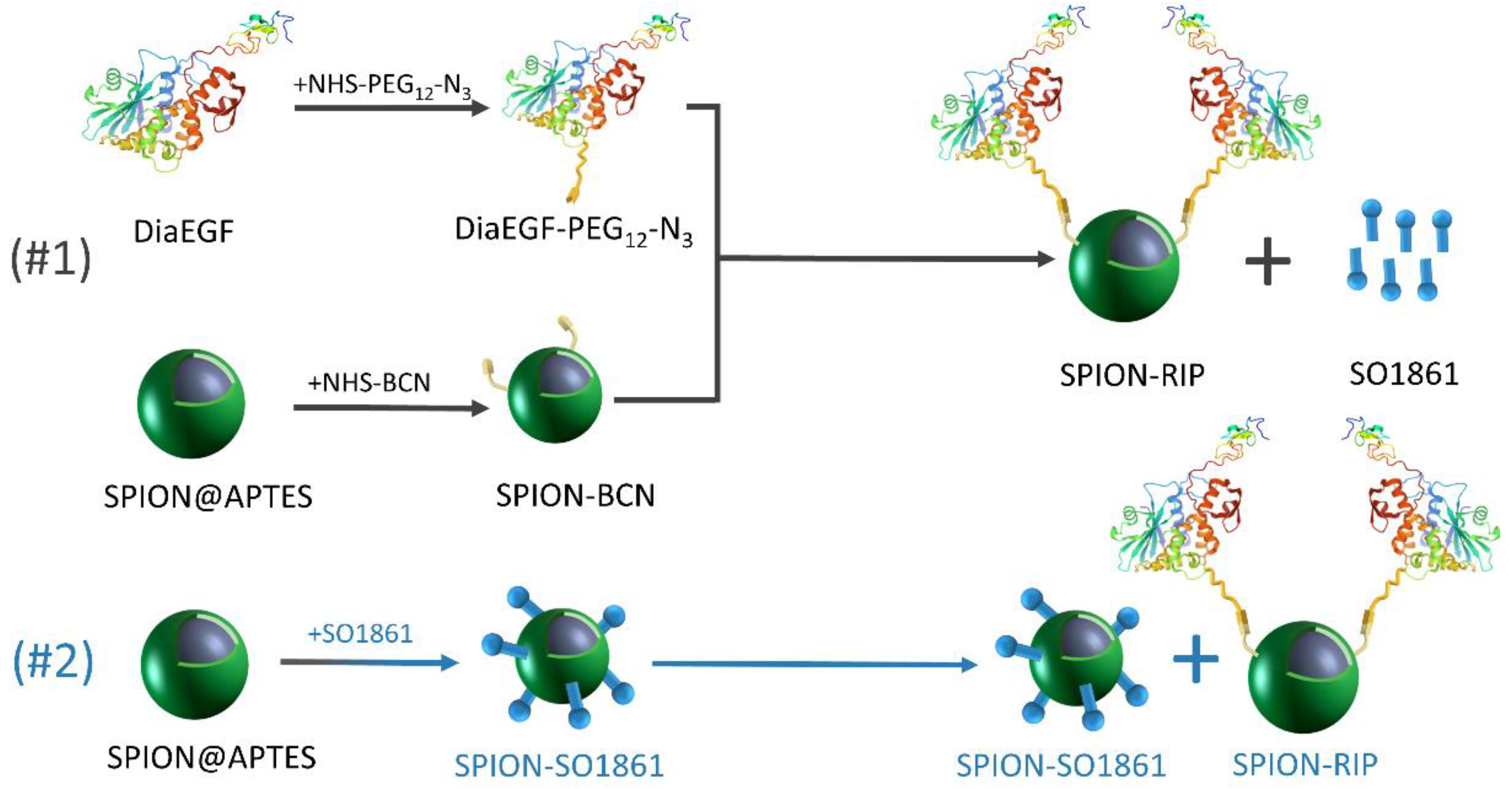 Nanomaterials 11 01057 g001 Nanomaterials 11 01057 g001