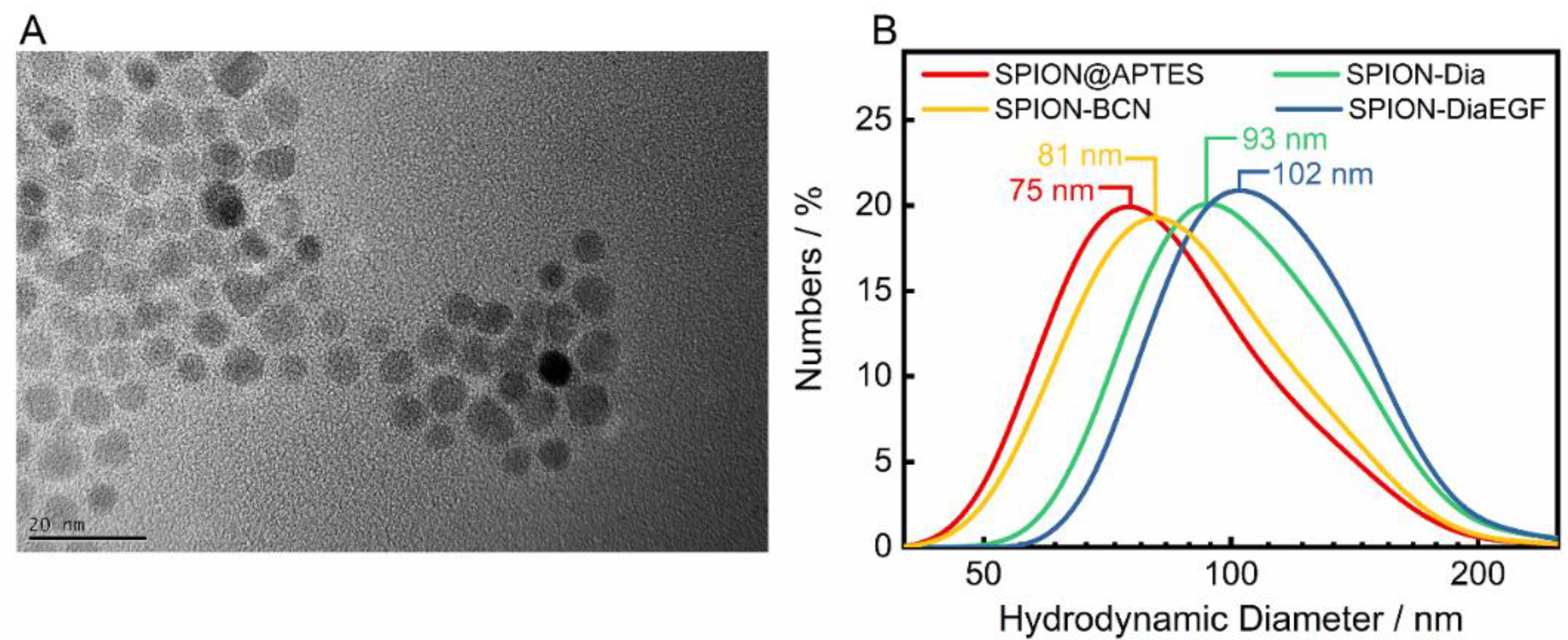 Nanomaterials 11 01057 g003 Nanomaterials 11 01057 g003
