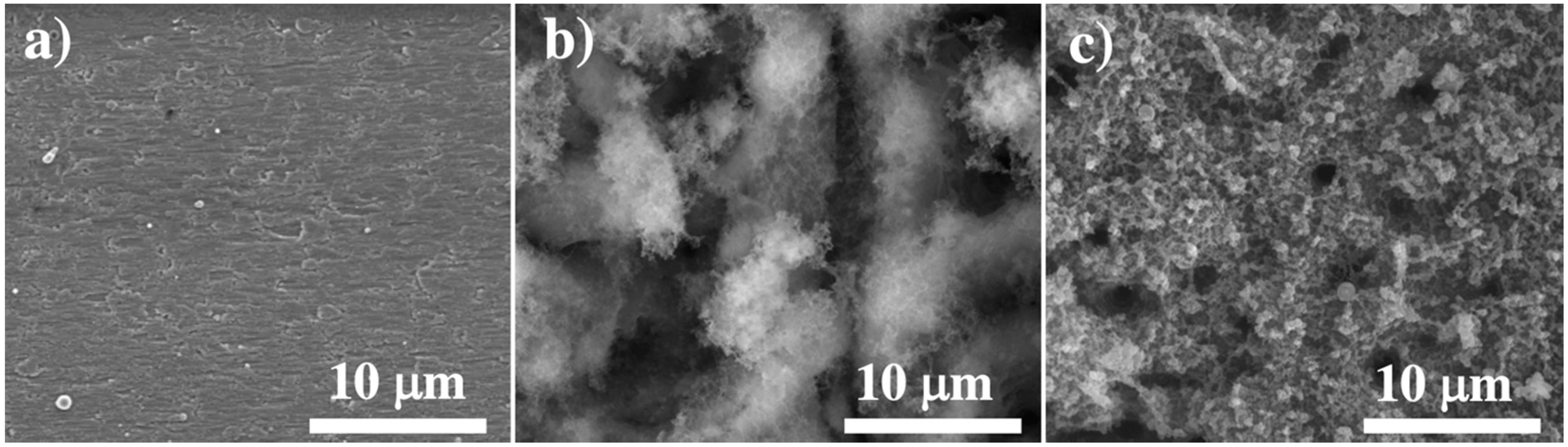 Nanomaterials 11 01062 g001