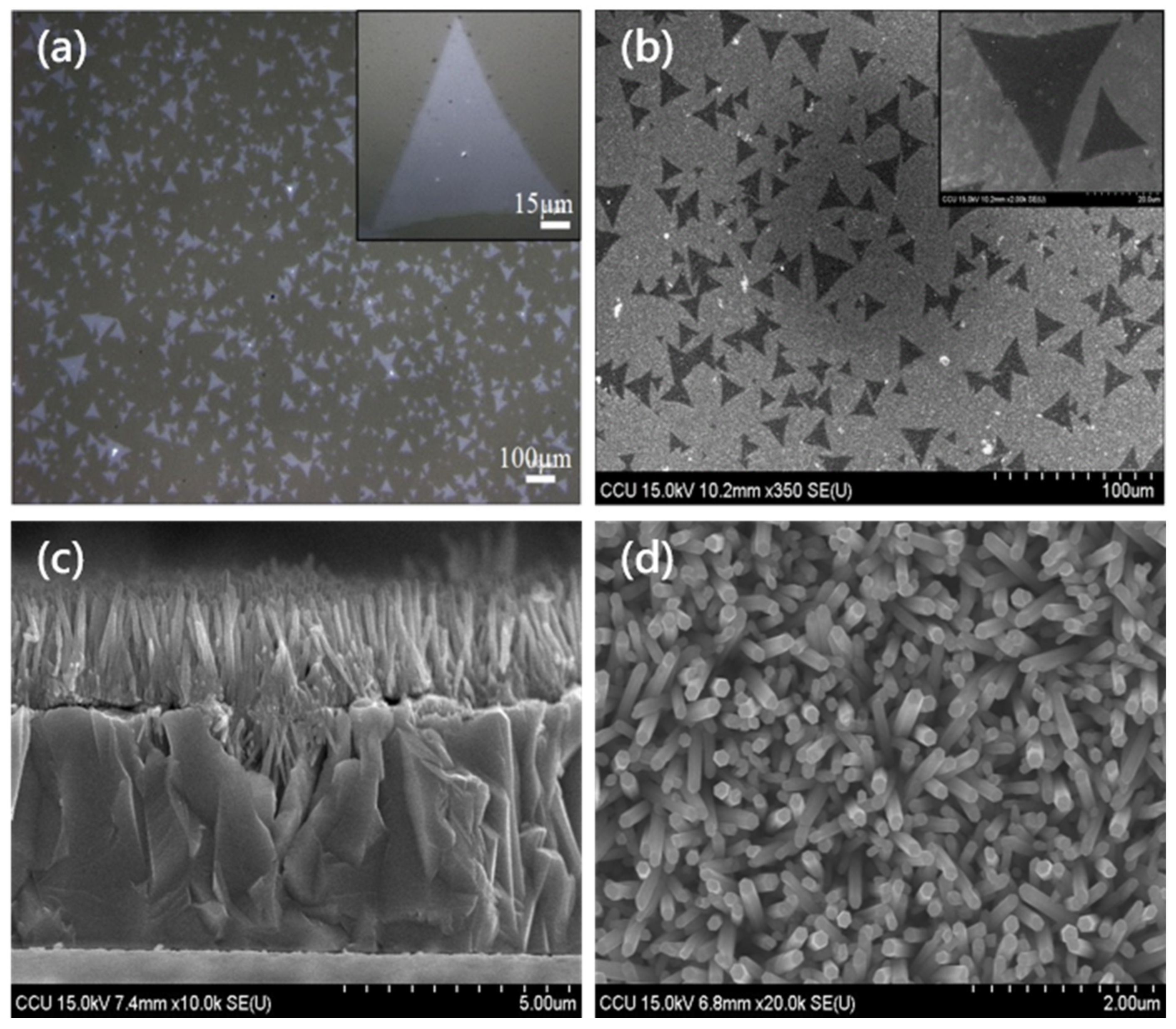 Nanomaterials 11 01065 g002 Nanomaterials 11 01065 g002