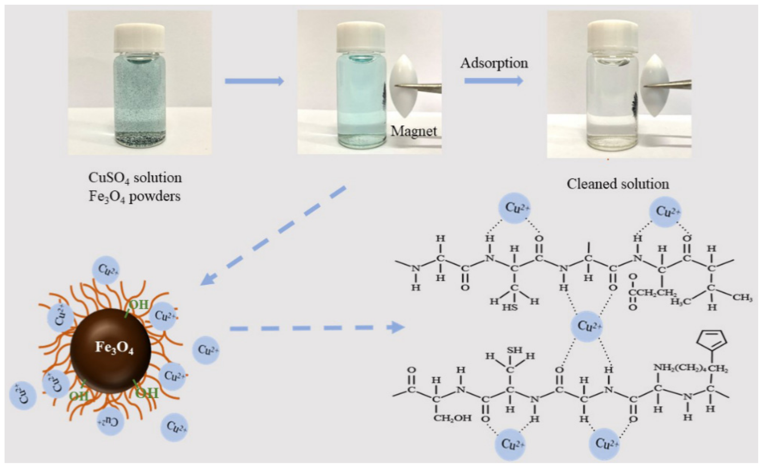 Nanomaterials 11 01068 sch002 Nanomaterials 11 01068 sch002