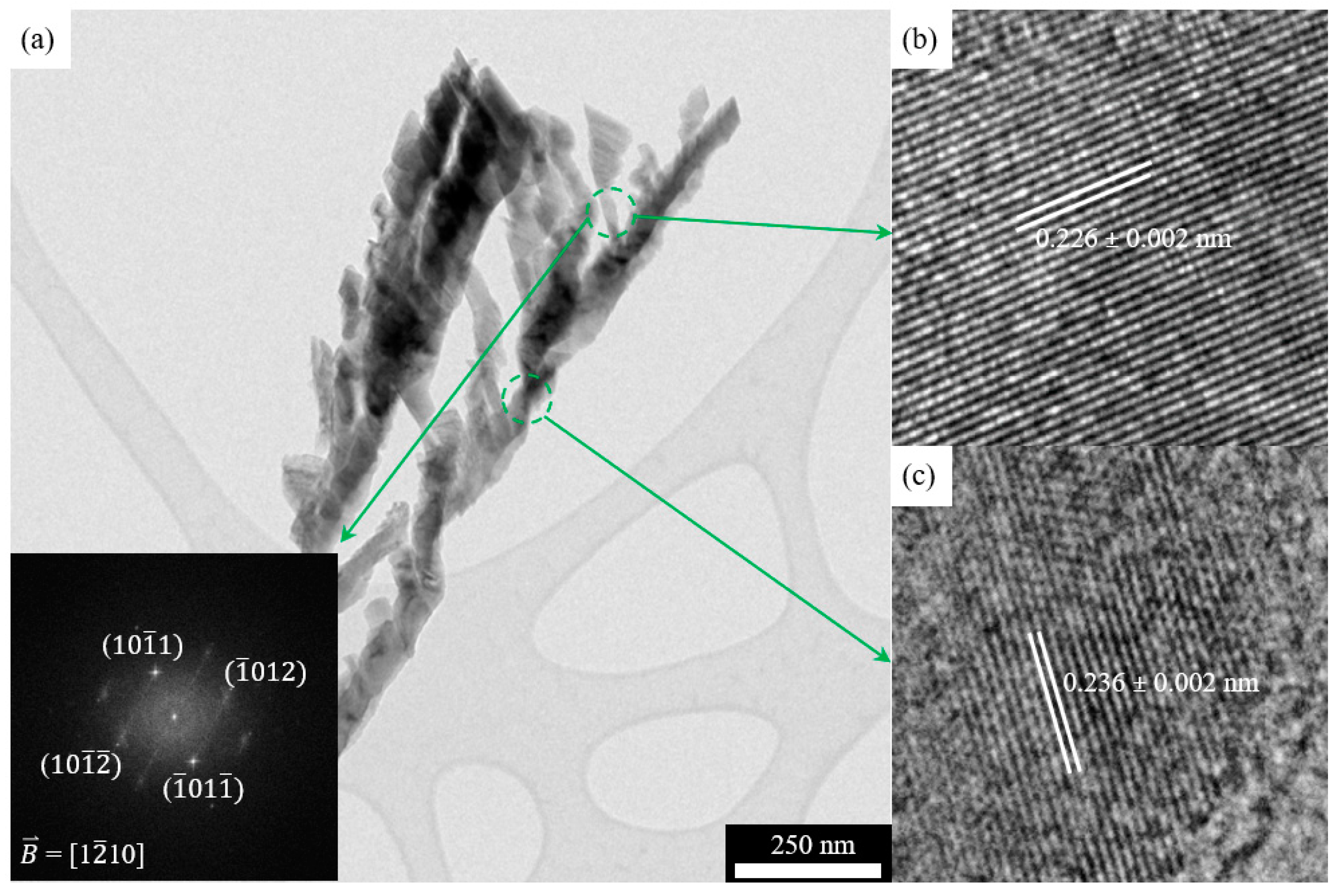 Nanomaterials 11 01070 g005 Nanomaterials 11 01070 g005