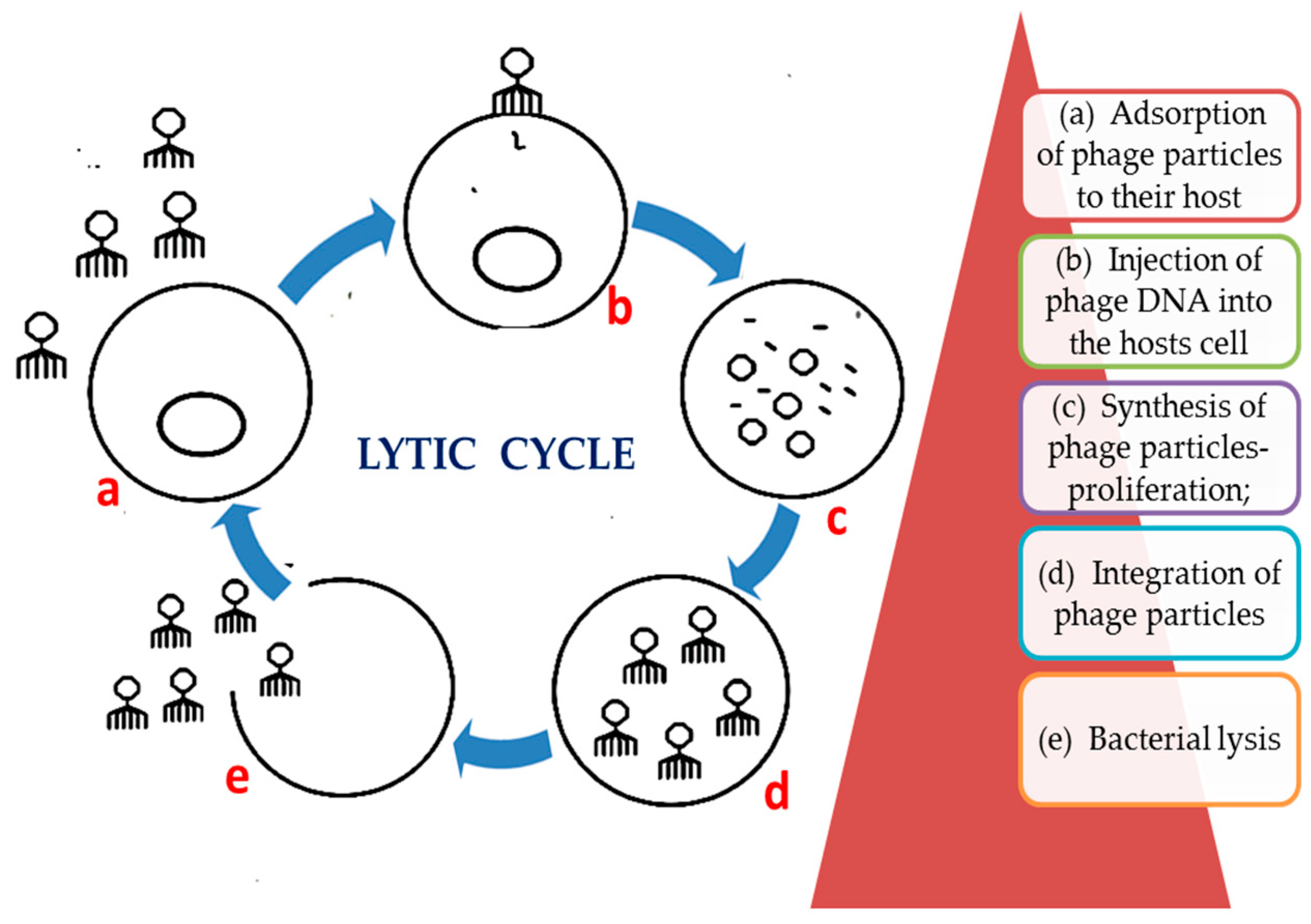 Nanomaterials 11 01075 g002