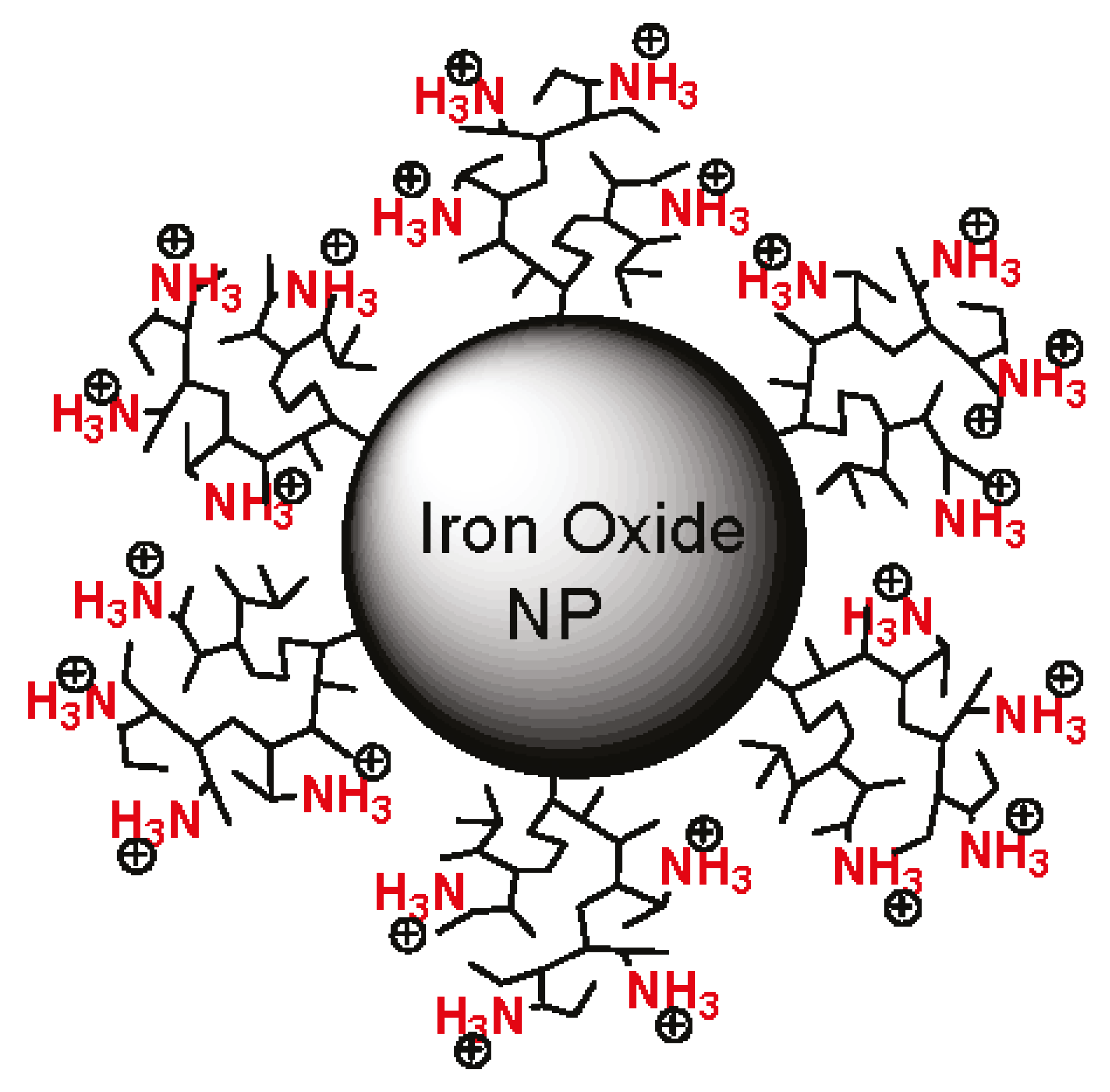 Nanomaterials 11 01078 g002