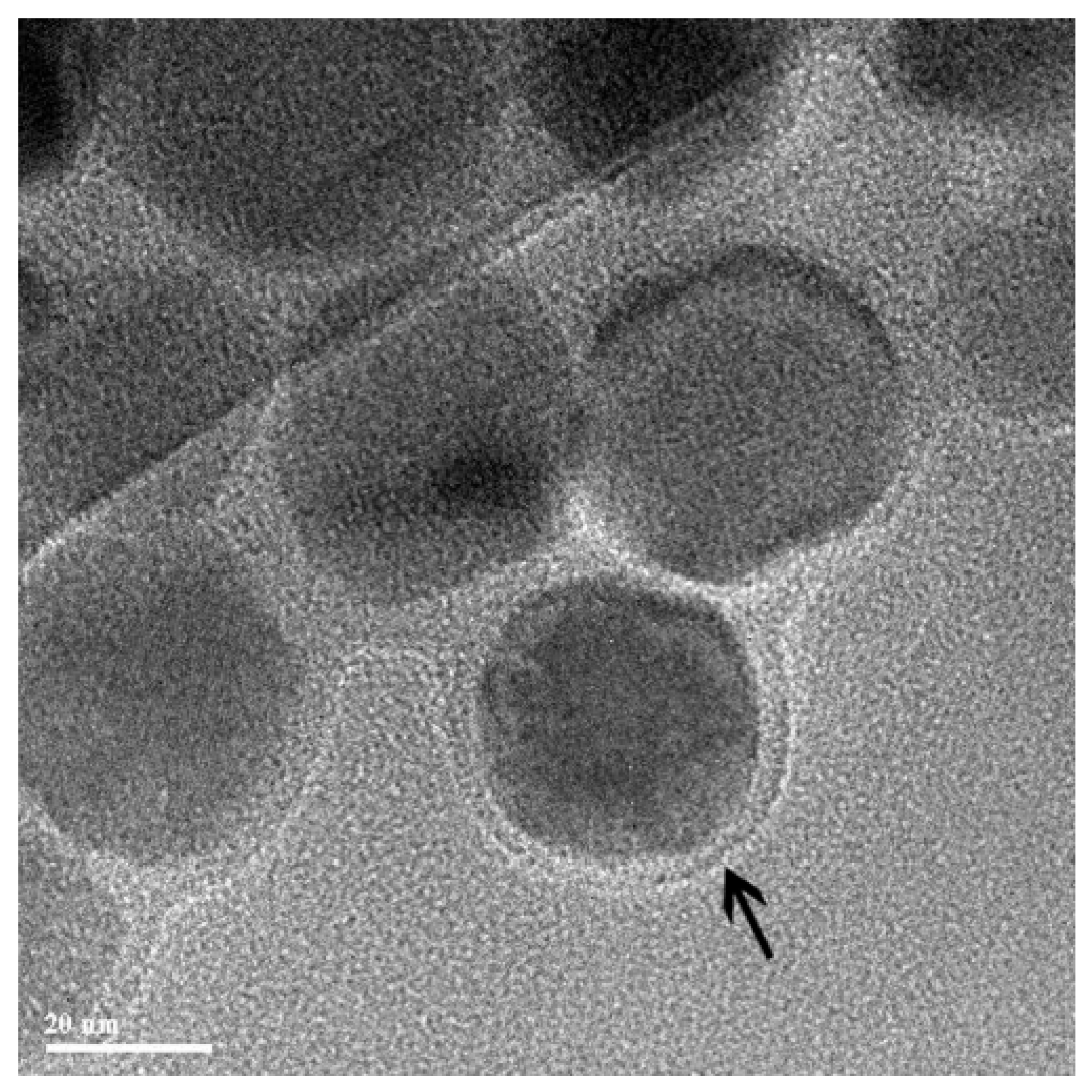 Nanomaterials 11 01078 g004