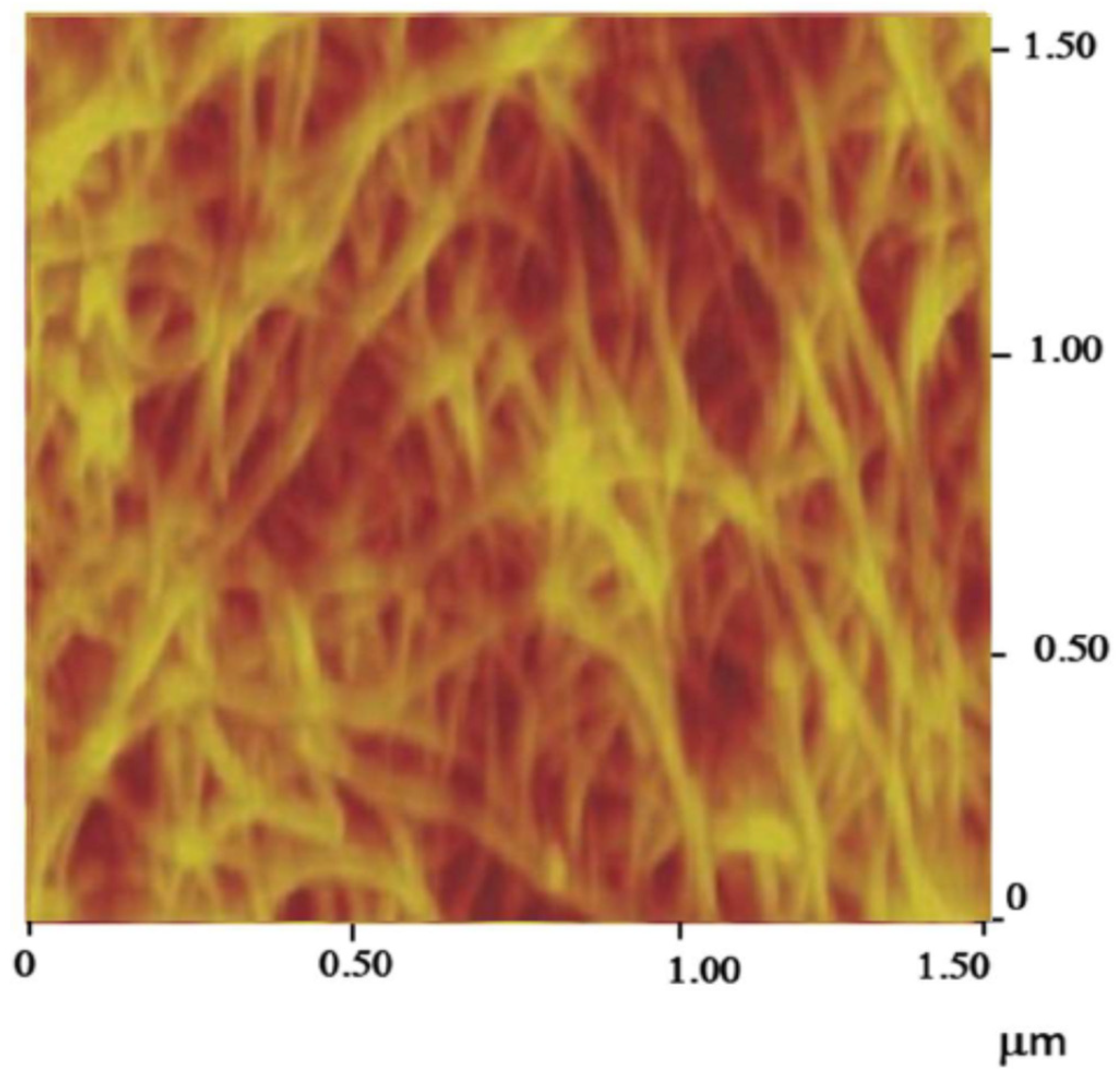 Nanomaterials 11 01079 g003