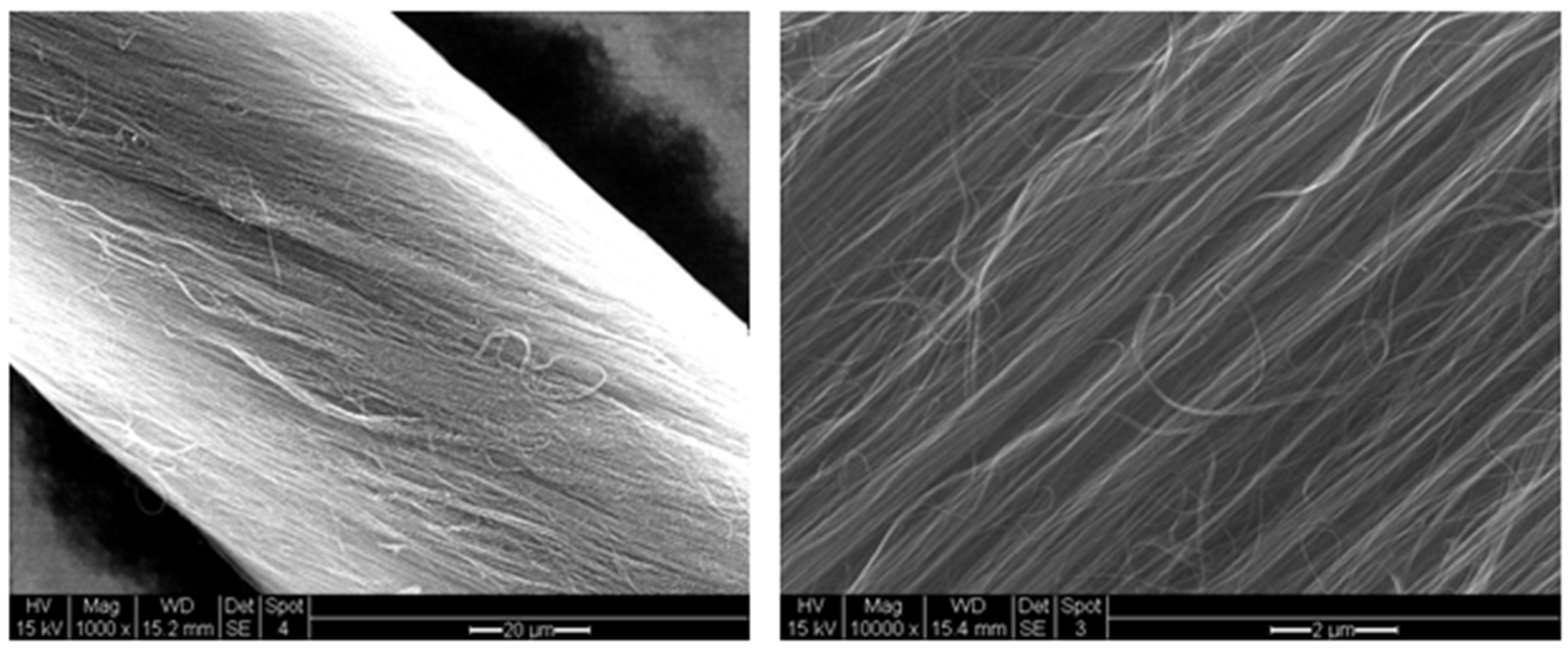 Nanomaterials 11 01079 g004