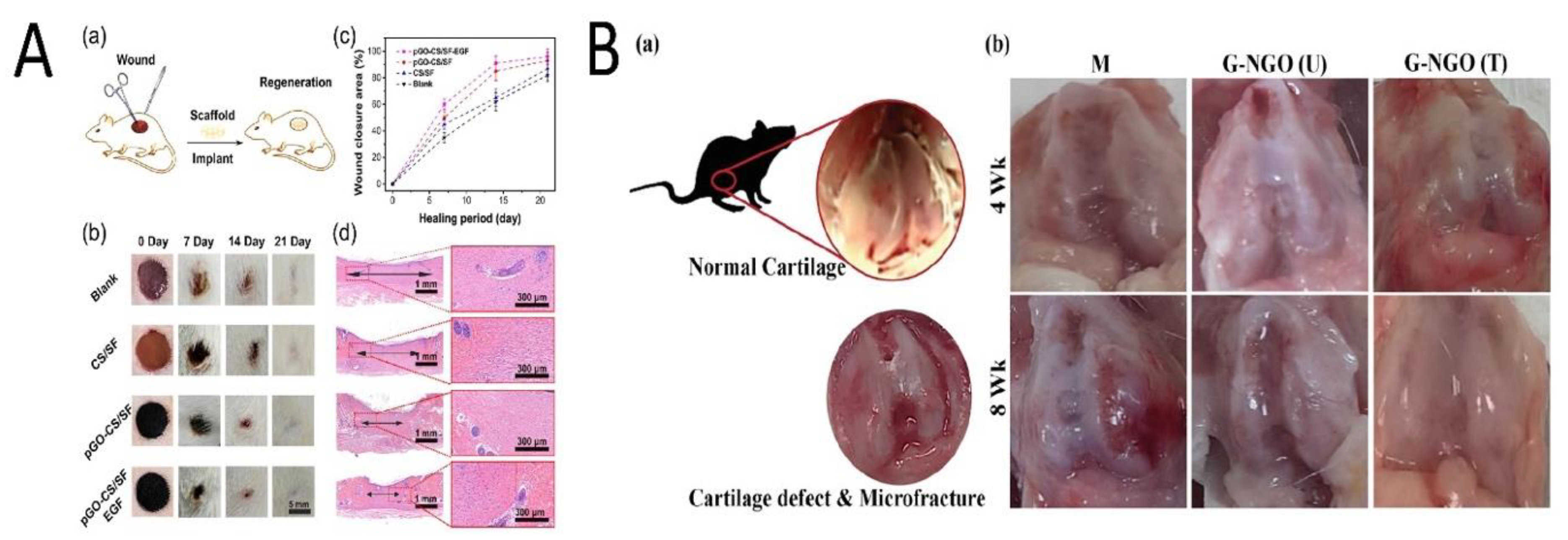 Nanomaterials 11 01083 g005 Nanomaterials 11 01083 g005