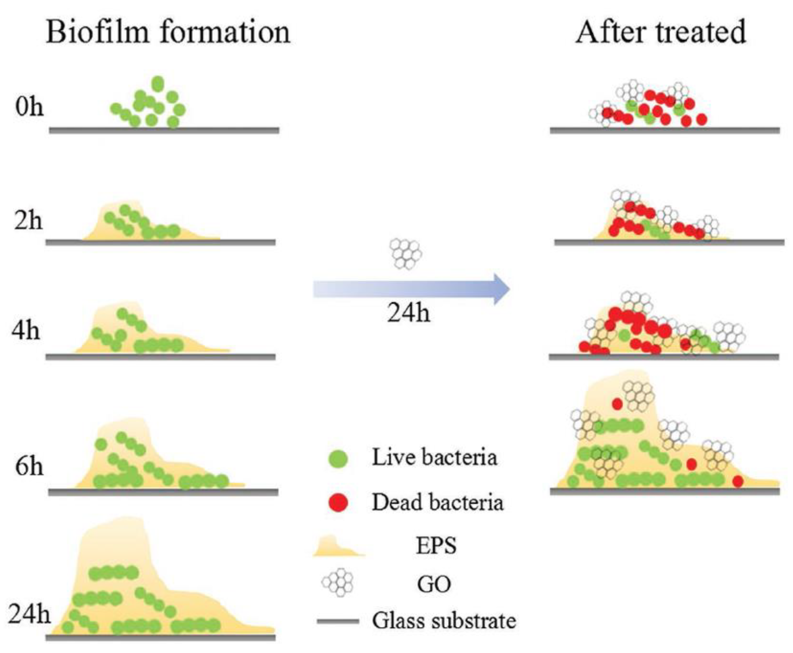 Nanomaterials 11 01083 g006 Nanomaterials 11 01083 g006