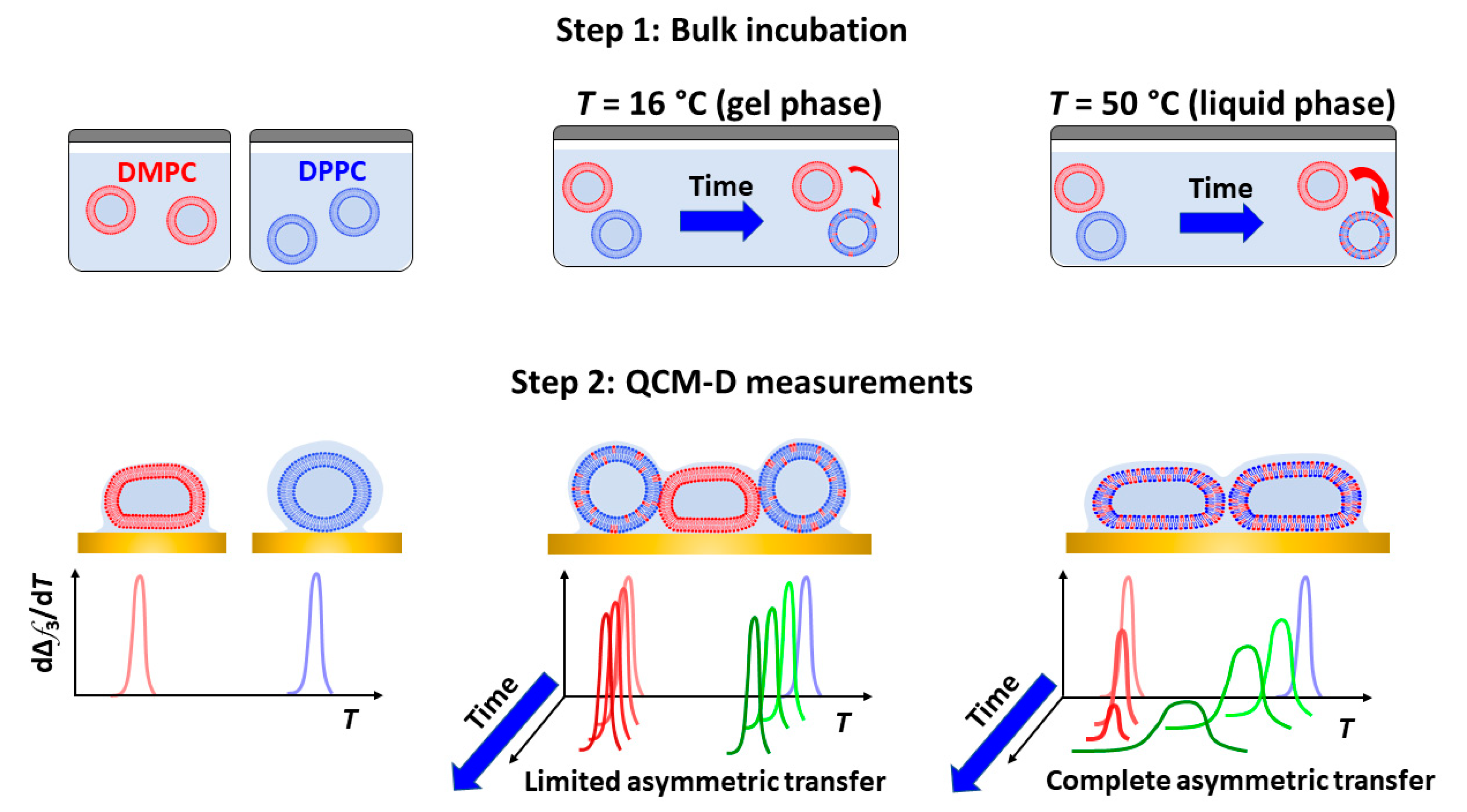 Nanomaterials 11 01087 g006 Nanomaterials 11 01087 g006