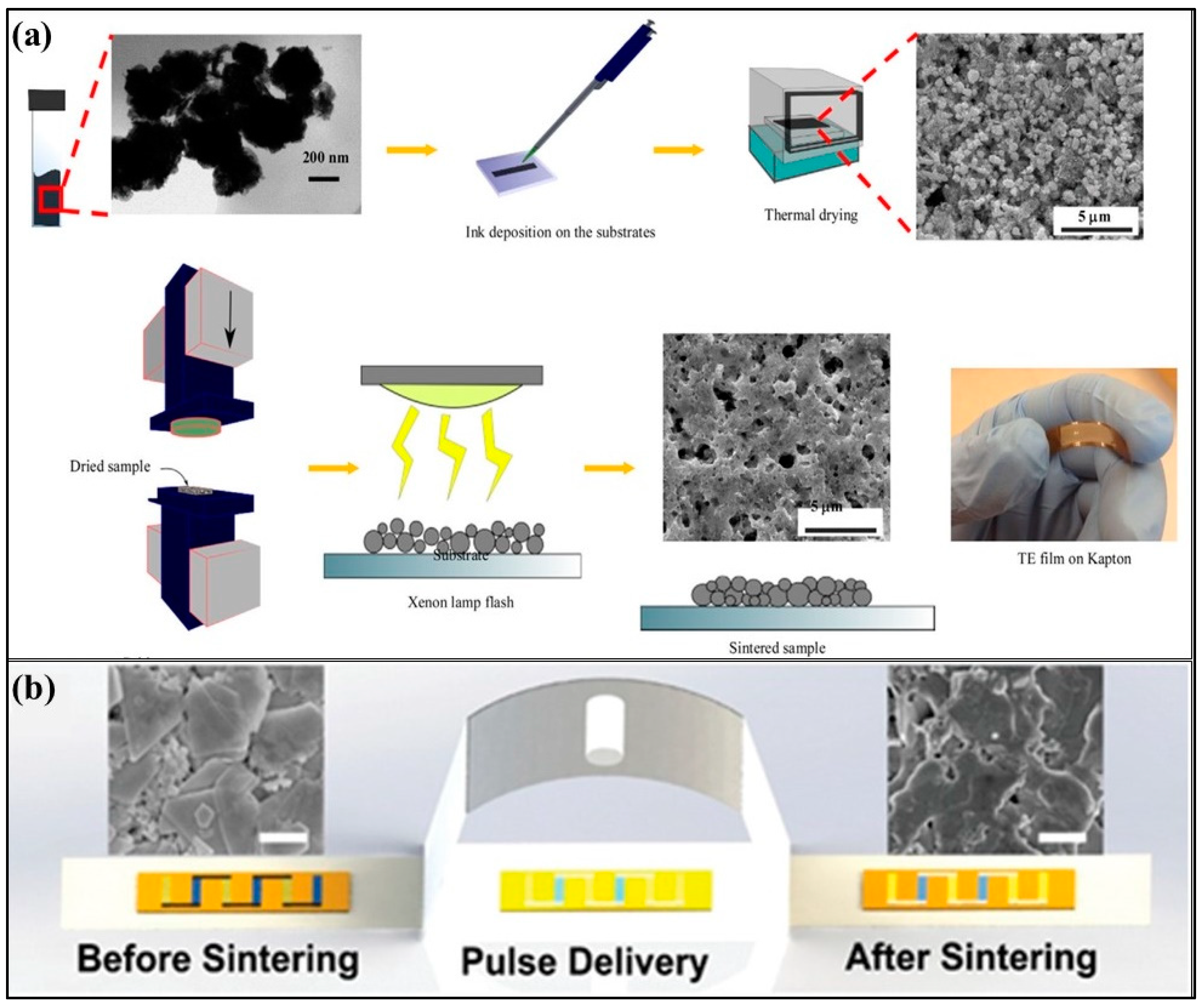 Nanomaterials 11 01091 g011