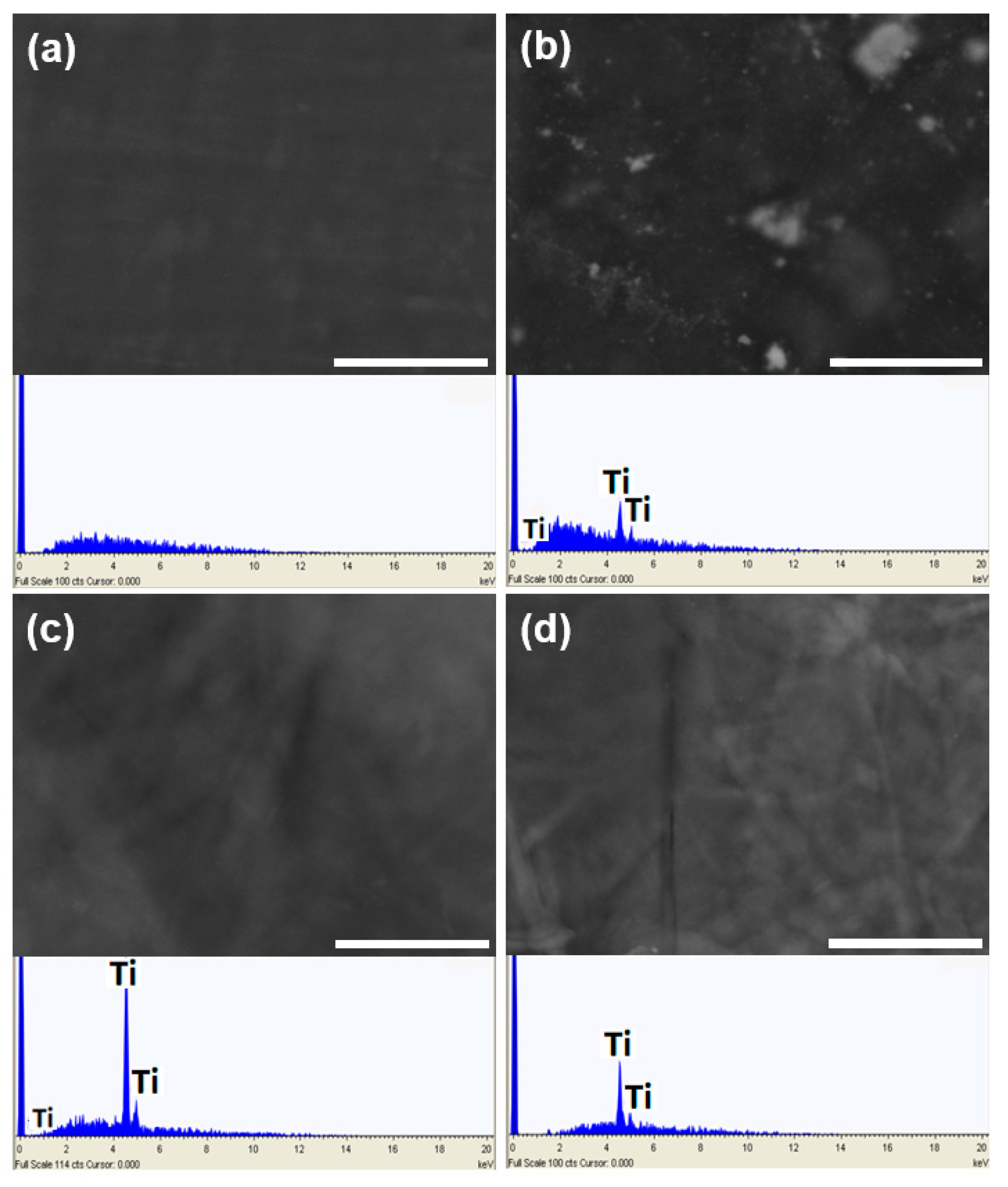 Nanomaterials 11 01100 g002 Nanomaterials 11 01100 g002