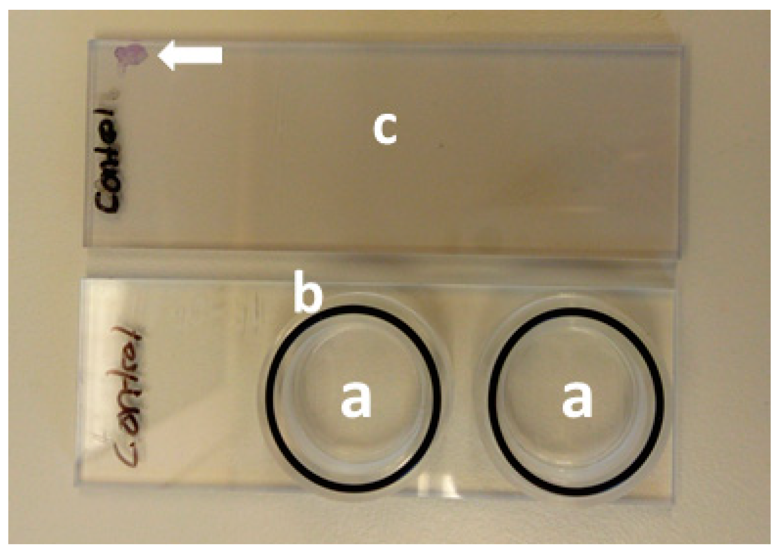 Nanomaterials 11 01100 g0a1 Nanomaterials 11 01100 g0a1